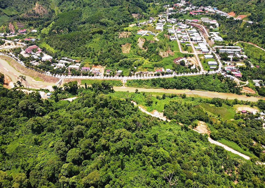 'Rừng thiêng' giữa đại ngàn- Ảnh 4.