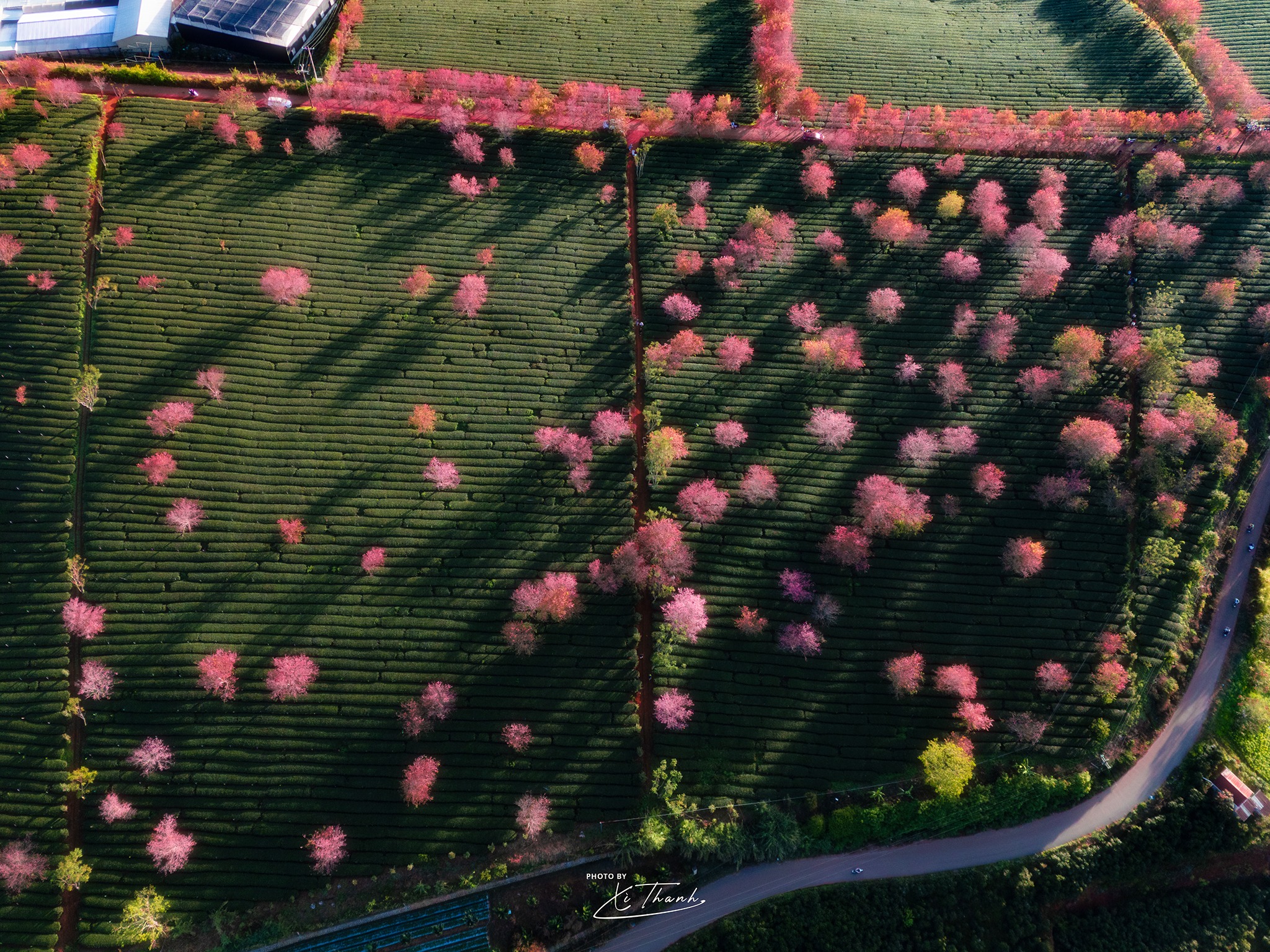 Tháng 3 bắt đầu: Nguyệt thực toàn phần duy nhất 2026, mưa sao băng… sắp xuất hiện! - Ảnh 2.