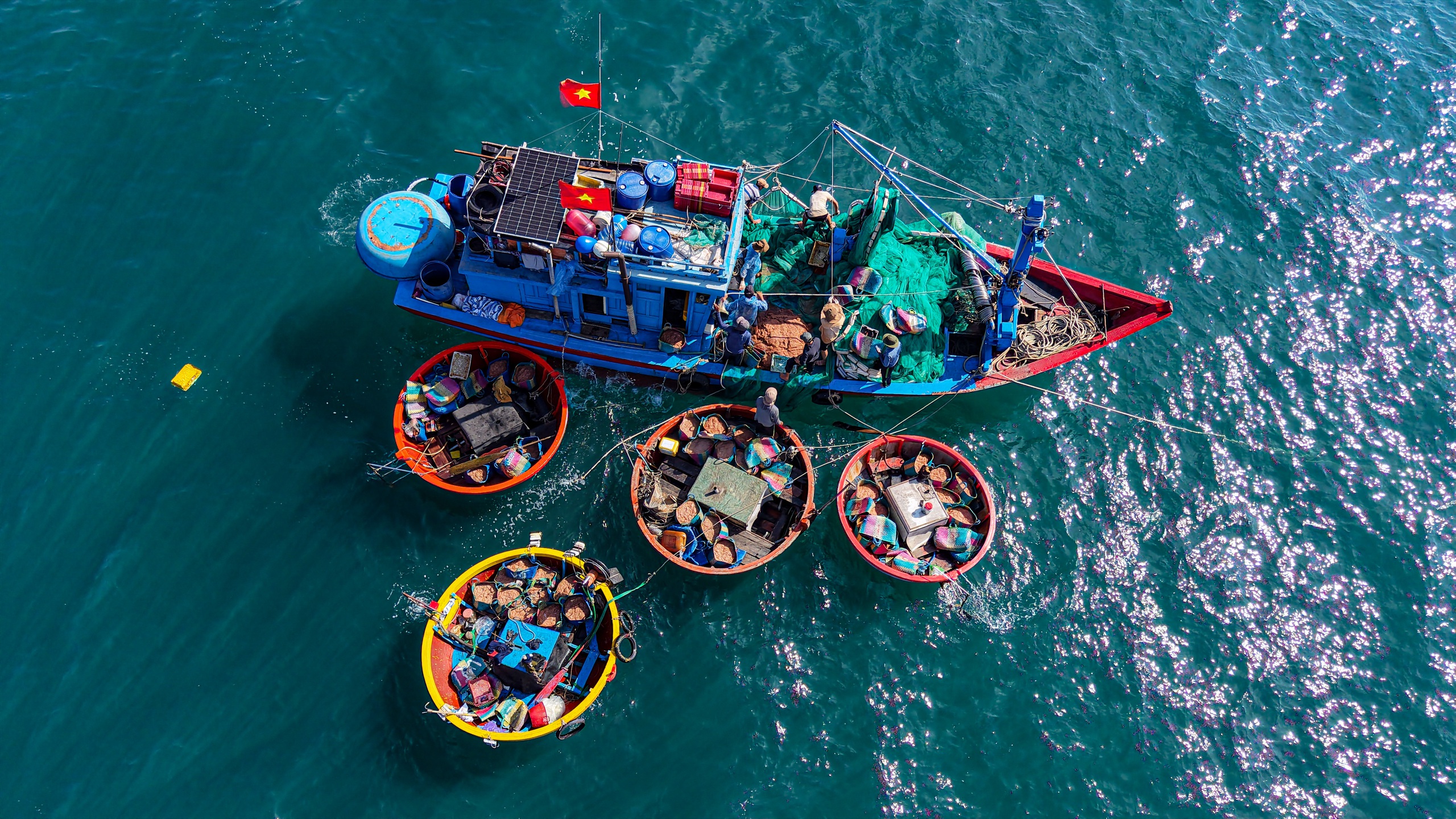 Ruốc biển Quảng Ngãi nhuộm hồng mặt biển , ngư dân thu tiền triệu mỗi ngày - Ảnh 2. Ruốc biển Quảng Ngãi nhuộm hồng mặt biển, ngư dân thu tiền triệu mỗi ngày - Ảnh 2.