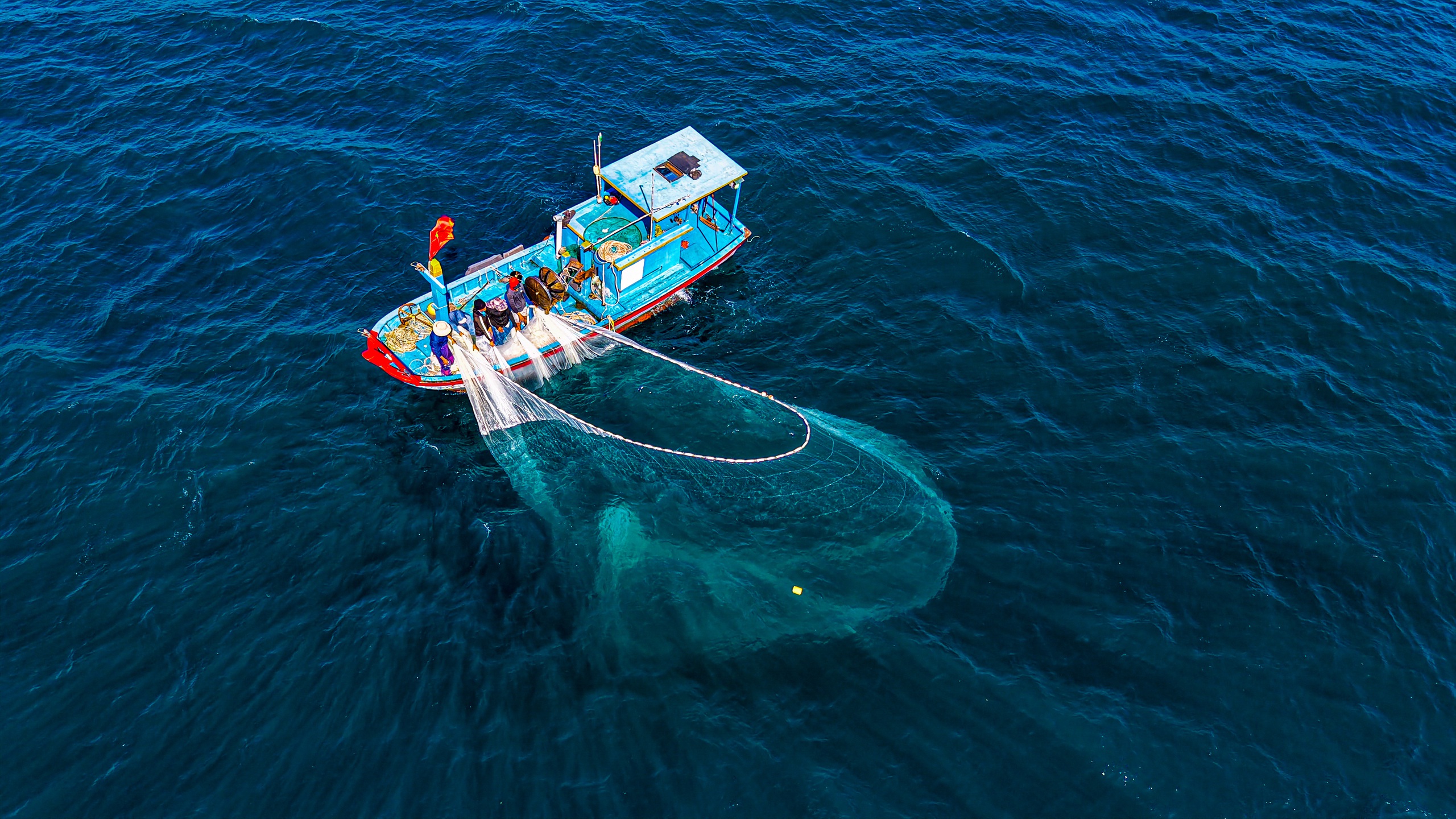 Ruốc biển Quảng Ngãi nhuộm hồng mặt biển , ngư dân thu tiền triệu mỗi ngày - Ảnh 6. Ruốc biển Quảng Ngãi nhuộm hồng mặt biển , ngư dân thu tiền triệu mỗi ngày - Ảnh 6.