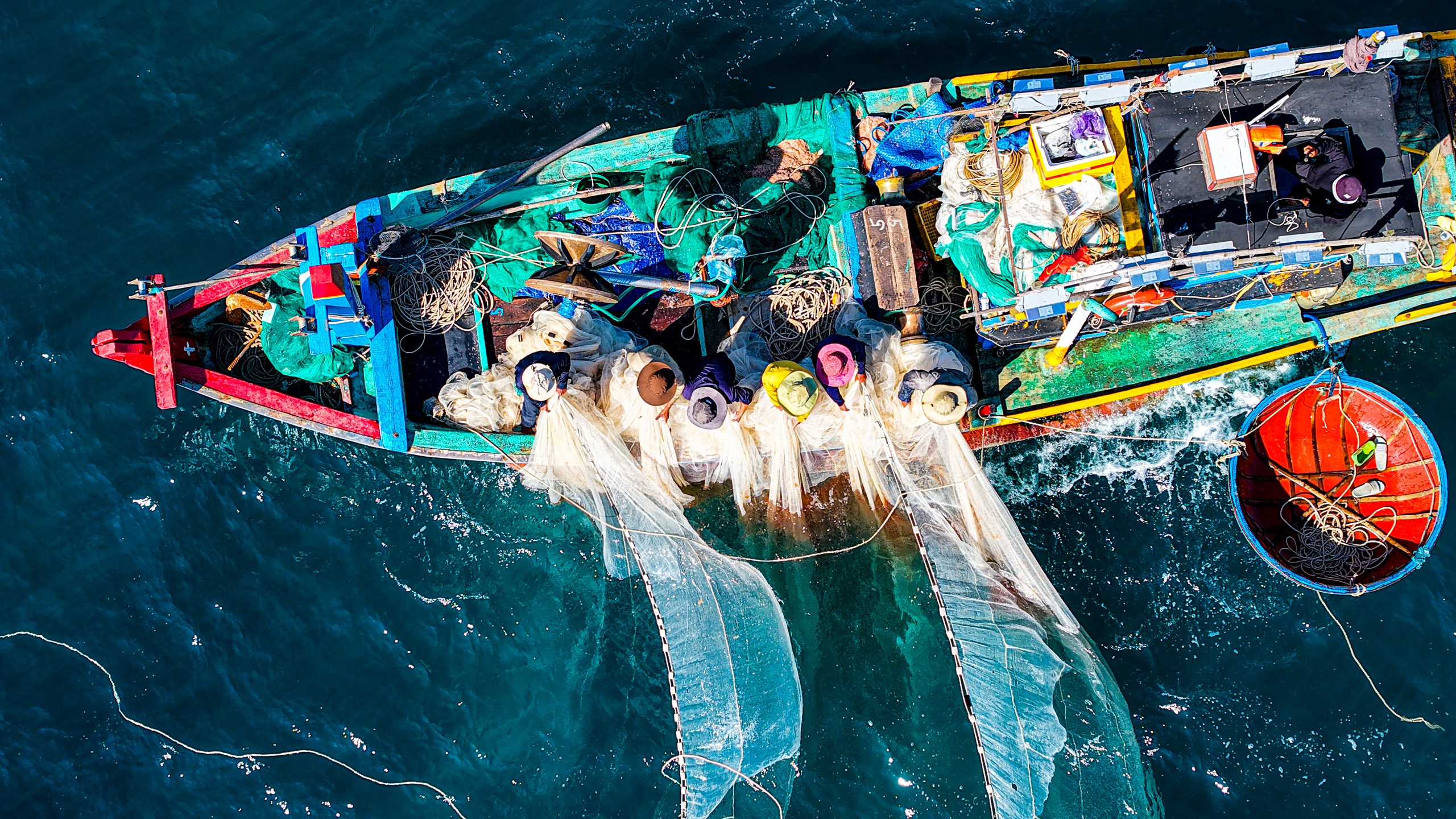 Ruốc biển Quảng Ngãi nhuộm hồng mặt biển , ngư dân thu tiền triệu mỗi ngày - Ảnh 7. Ruốc biển Quảng Ngãi nhuộm hồng mặt biển , ngư dân thu tiền triệu mỗi ngày - Ảnh 7.