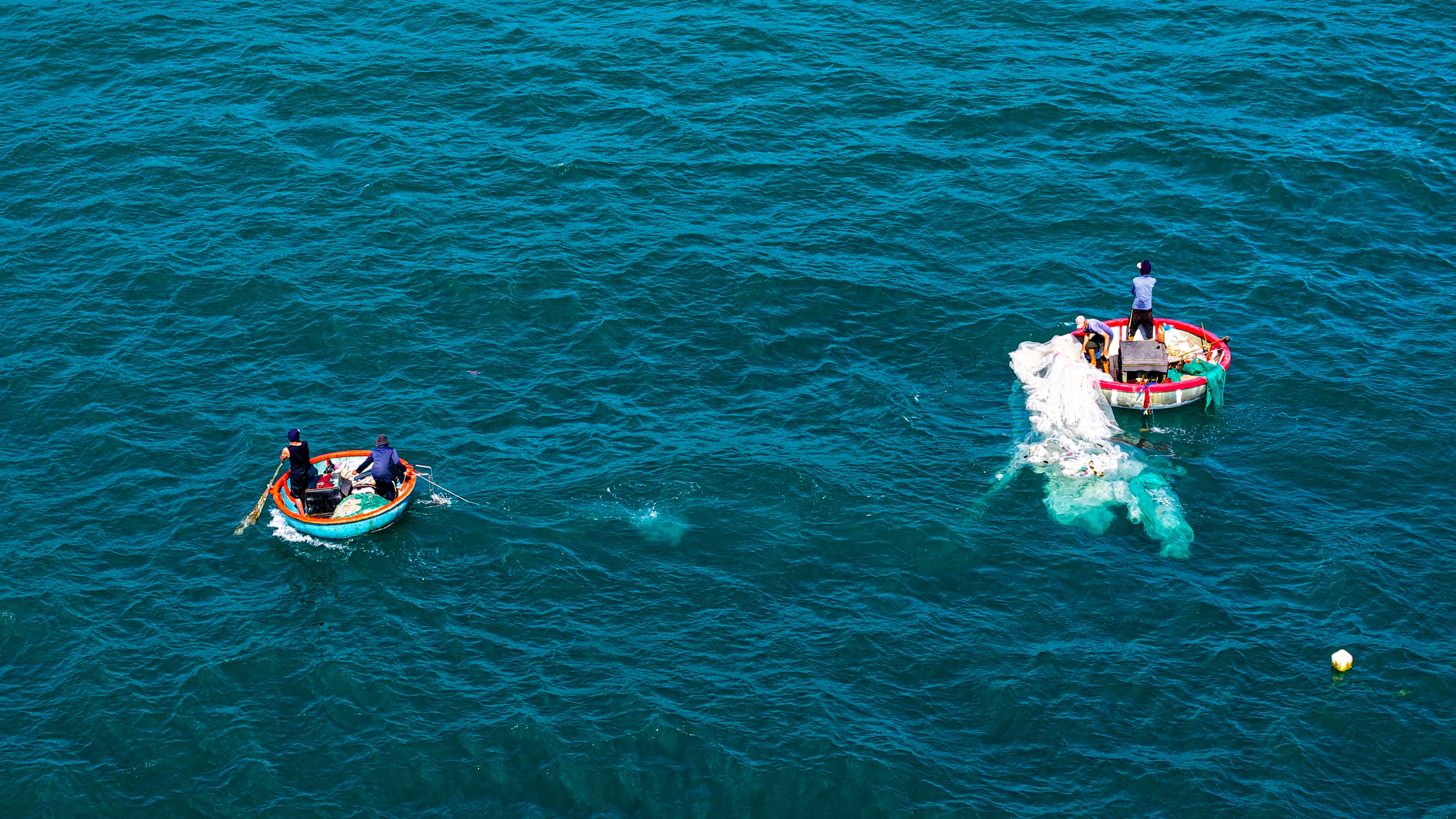 Ruốc biển Quảng Ngãi nhuộm hồng mặt biển , ngư dân thu tiền triệu mỗi ngày - Ảnh 8. Ruốc biển Quảng Ngãi nhuộm hồng mặt biển , ngư dân thu tiền triệu mỗi ngày - Ảnh 8.