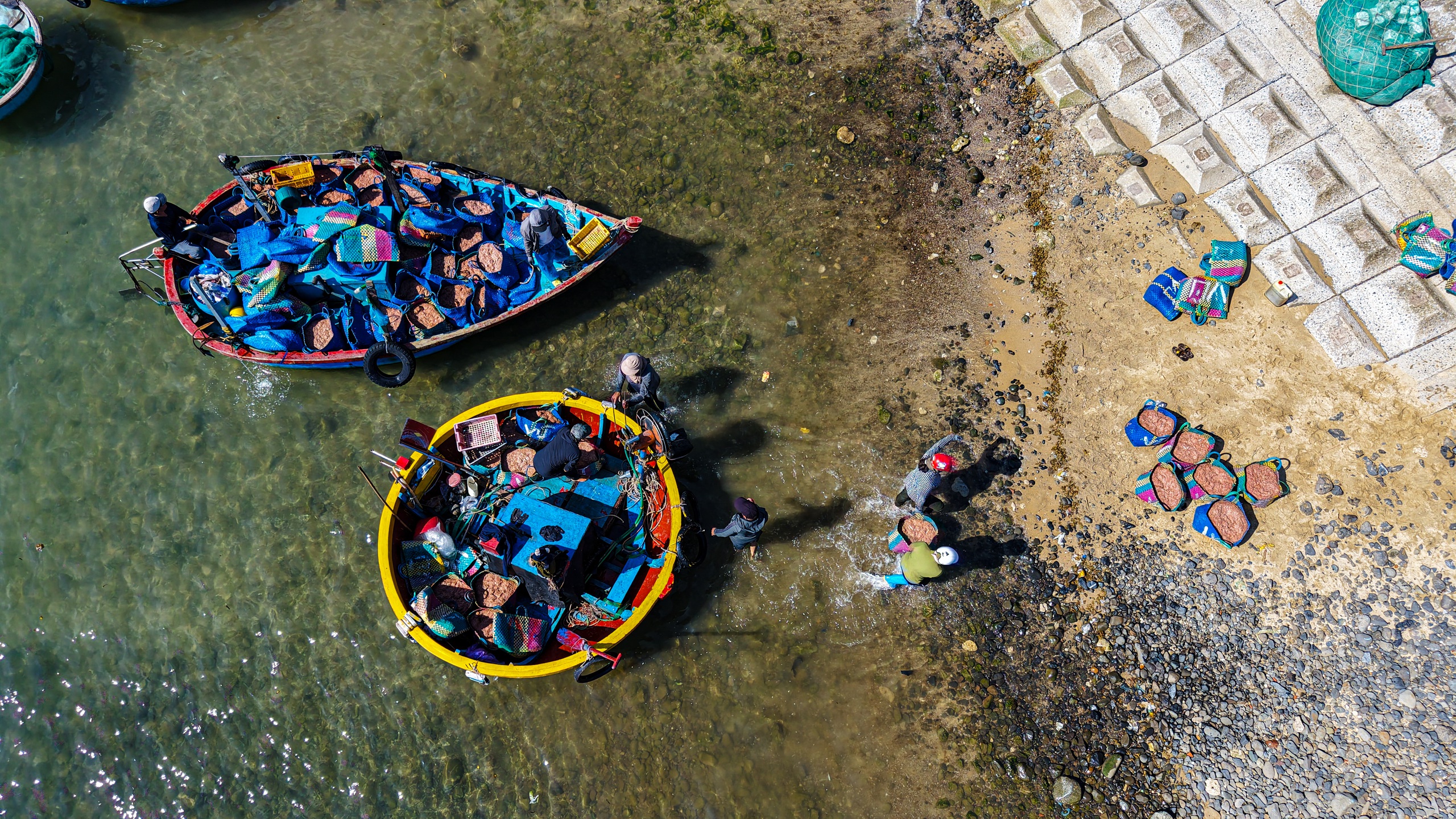 Ruốc biển Quảng Ngãi nhuộm hồng mặt biển , ngư dân thu tiền triệu mỗi ngày - Ảnh 9. Ruốc biển Quảng Ngãi nhuộm hồng mặt biển , ngư dân thu tiền triệu mỗi ngày - Ảnh 9.