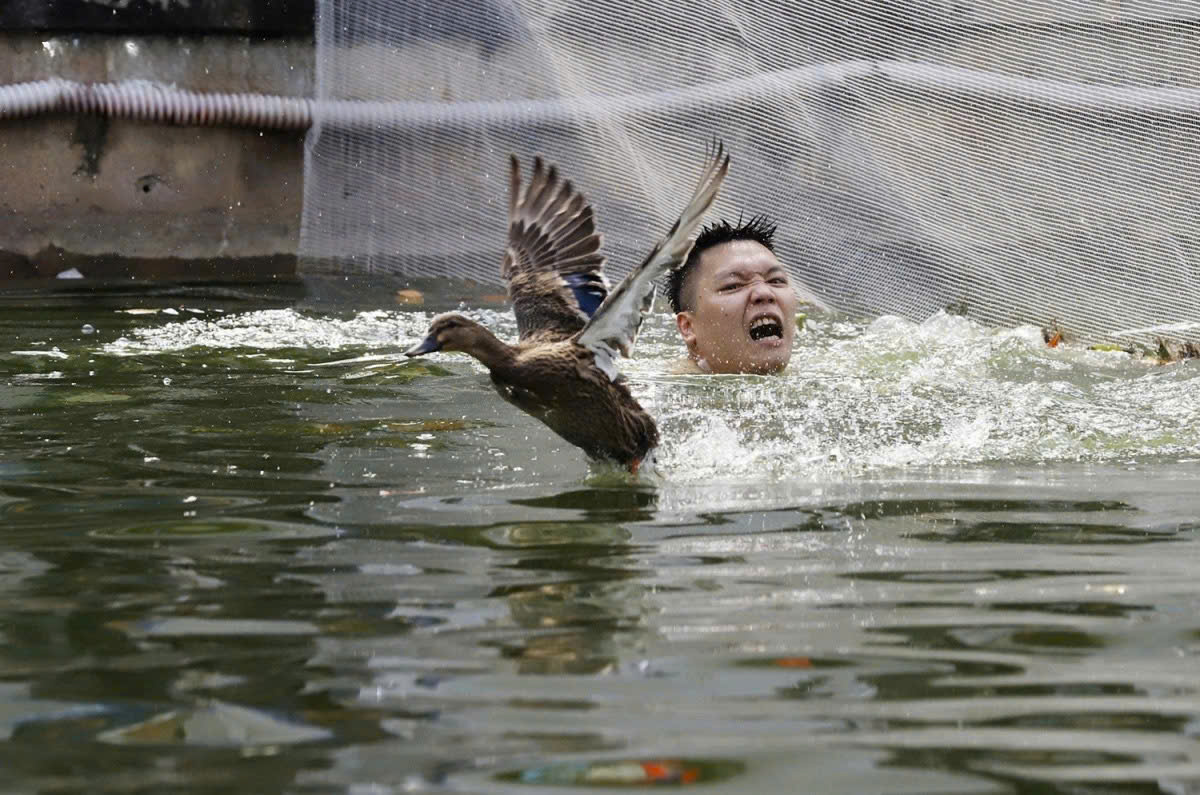 Tử vong vì trò chơi ở hội làng: dựng rào kỹ thuật hay cấm?- Ảnh 2. Tử vong vì trò chơi ở hội làng: dựng rào kỹ thuật hay cấm?- Ảnh 2.