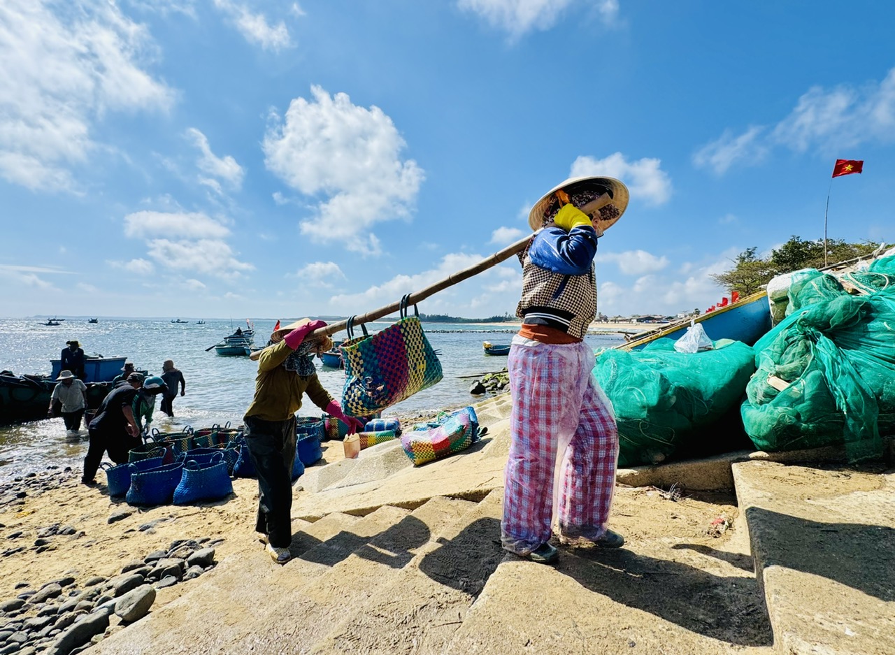 Ruốc biển Quảng Ngãi nhuộm hồng mặt biển , ngư dân thu tiền triệu mỗi ngày - Ảnh 5. Ruốc biển Quảng Ngãi nhuộm hồng mặt biển , ngư dân thu tiền triệu mỗi ngày - Ảnh 5.