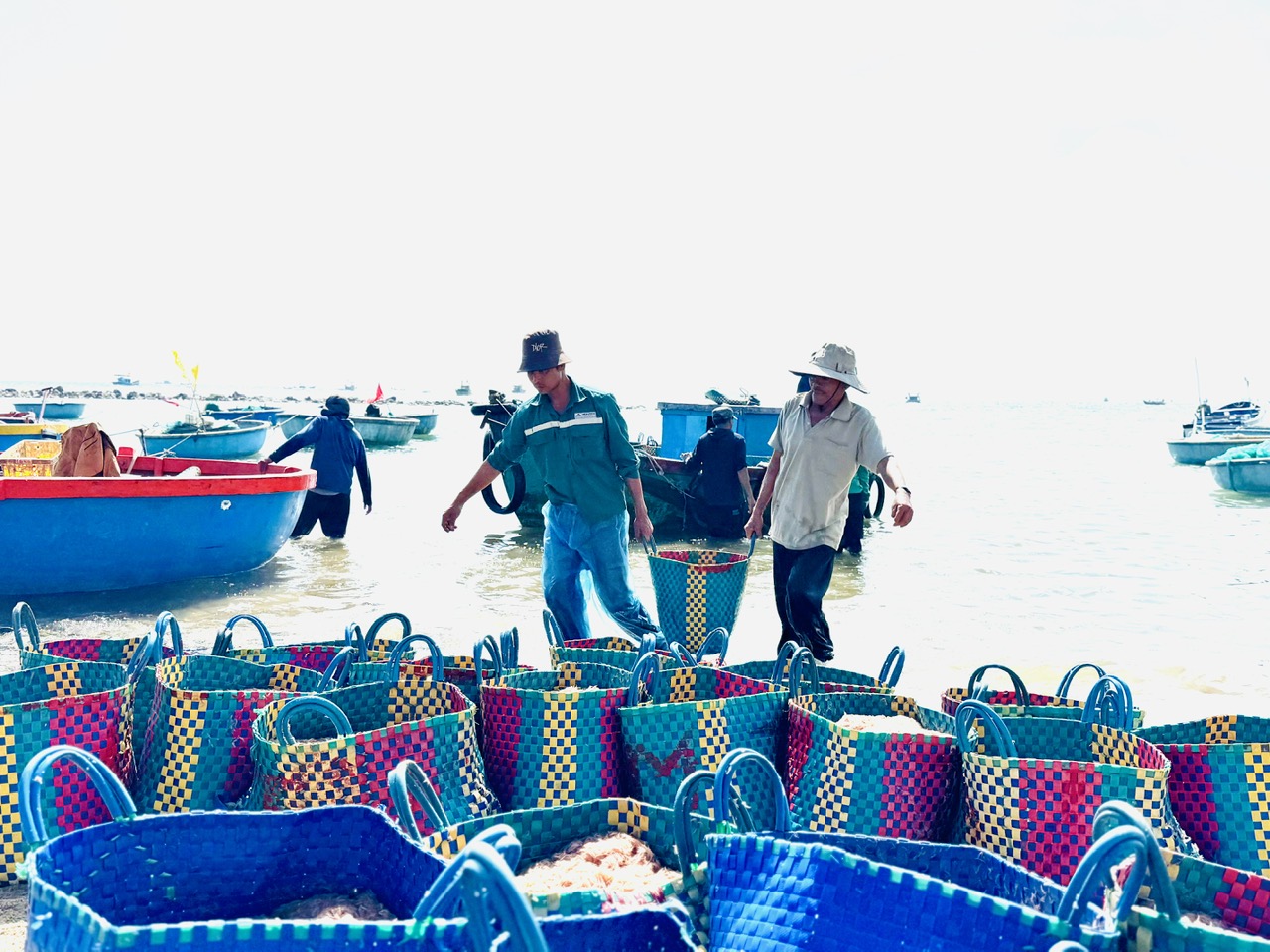 Ruốc biển Quảng Ngãi nhuộm hồng mặt biển , ngư dân thu tiền triệu mỗi ngày - Ảnh 10. Ruốc biển Quảng Ngãi nhuộm hồng mặt biển , ngư dân thu tiền triệu mỗi ngày - Ảnh 10.