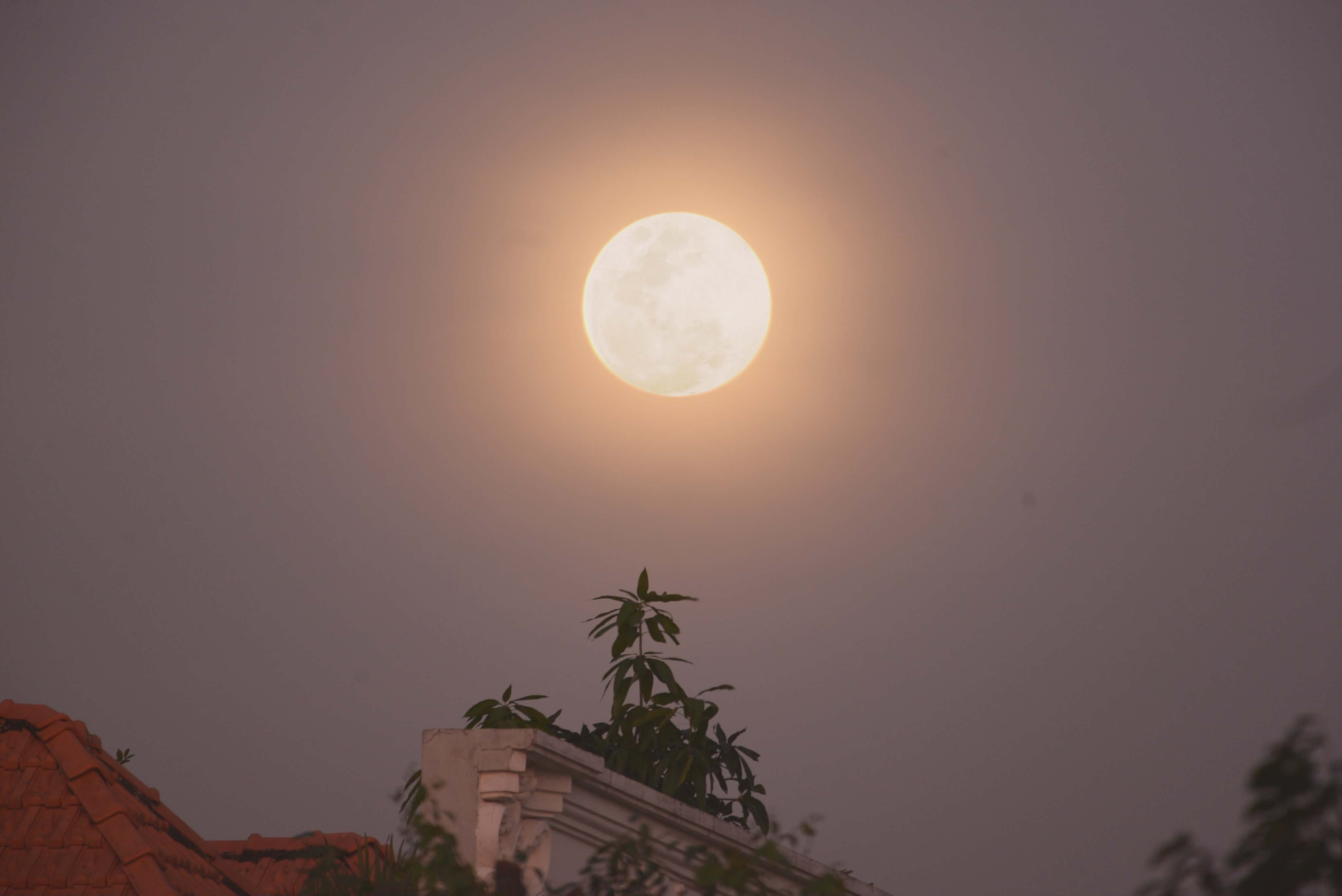 Nhiều người 'thấy lạ' khi trăng rằm th&aacute;ng chạp đỏ như m&aacute;u, v&igrave; sao vậy?- Ảnh 2.