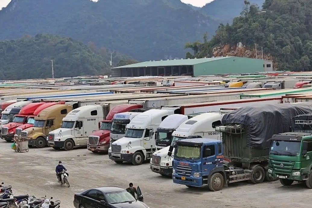 Văn phòng Chính phủ 'hỏa tốc' yêu cầu hướng  dẫn kiểm tra thực phẩm nhập khẩu trước 5.2. - Ảnh 1.