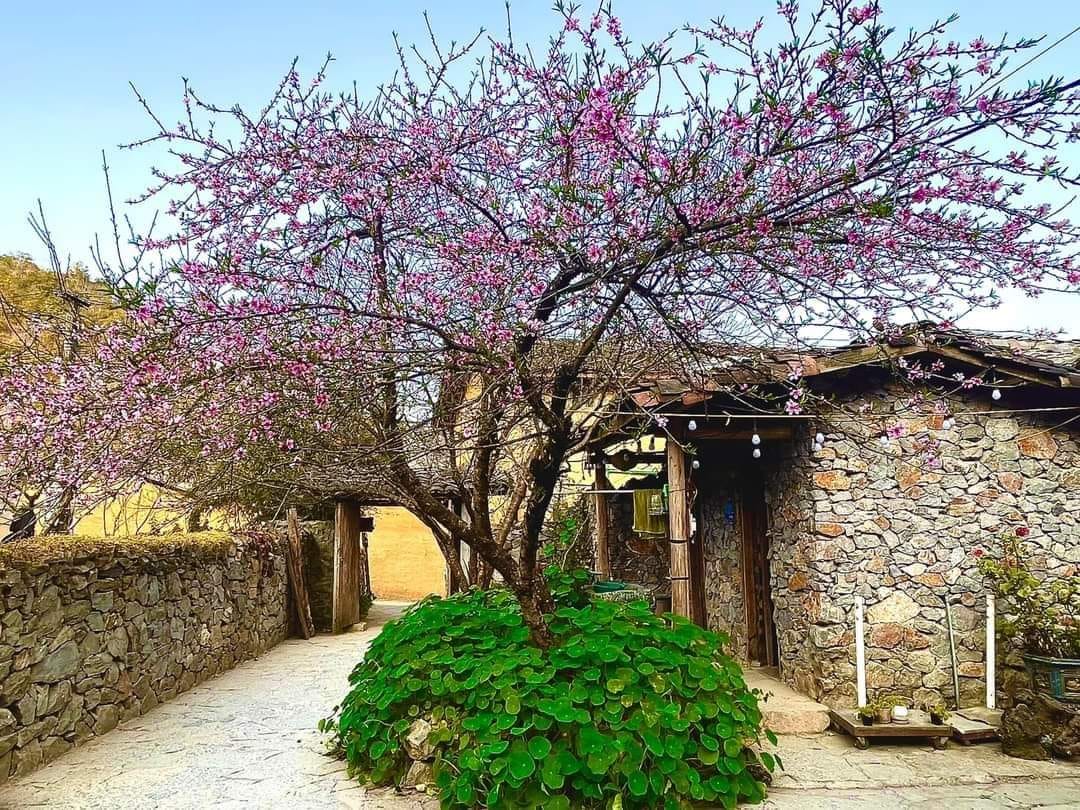 Du khách háo hức chờ ăn Tết Việt- Ảnh 1. Du khách háo hức chờ ăn Tết Việt- Ảnh 1.