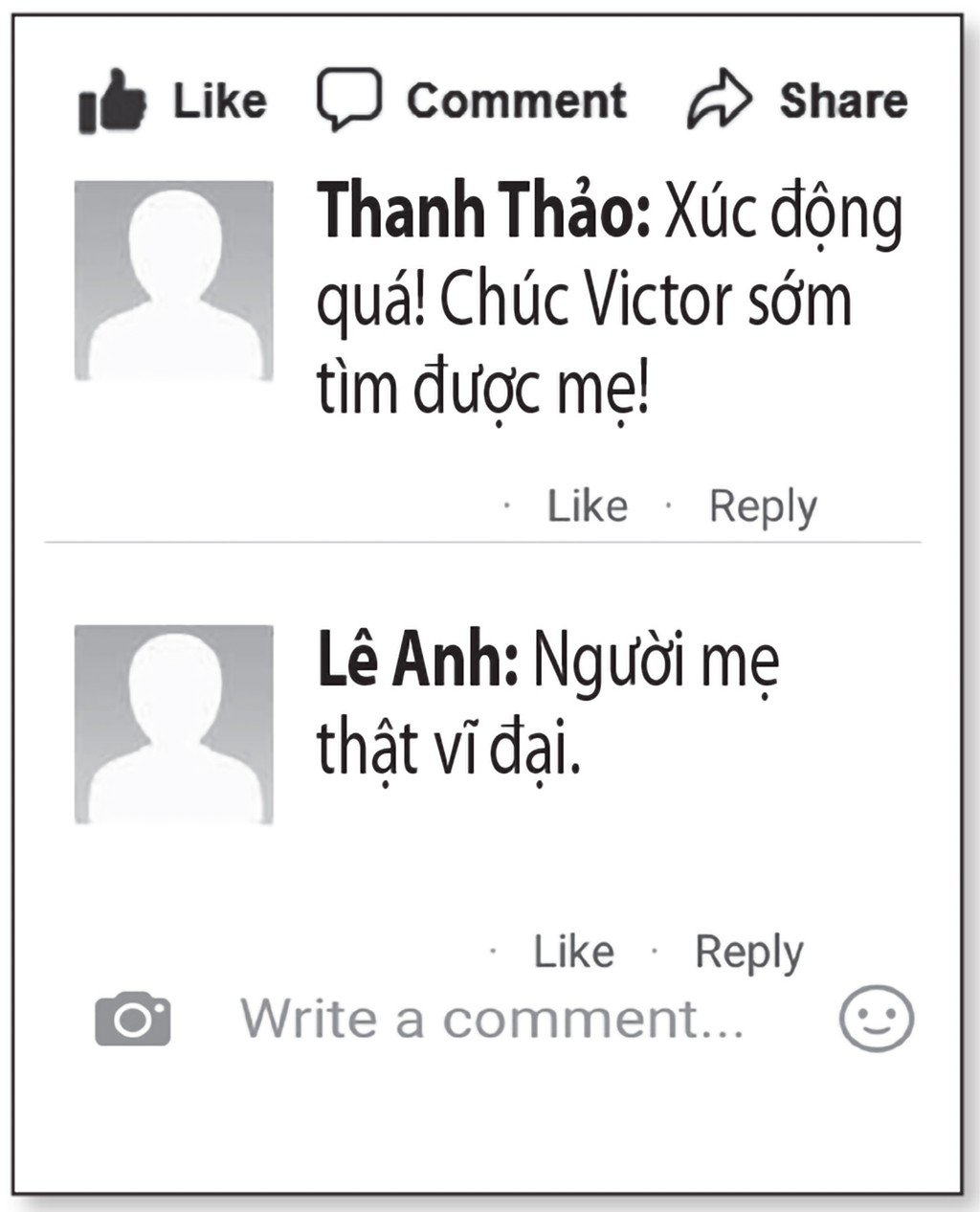 Gia đình Pháp tìm mẹ ruột cho con trai gốc Việt - Ảnh 3.