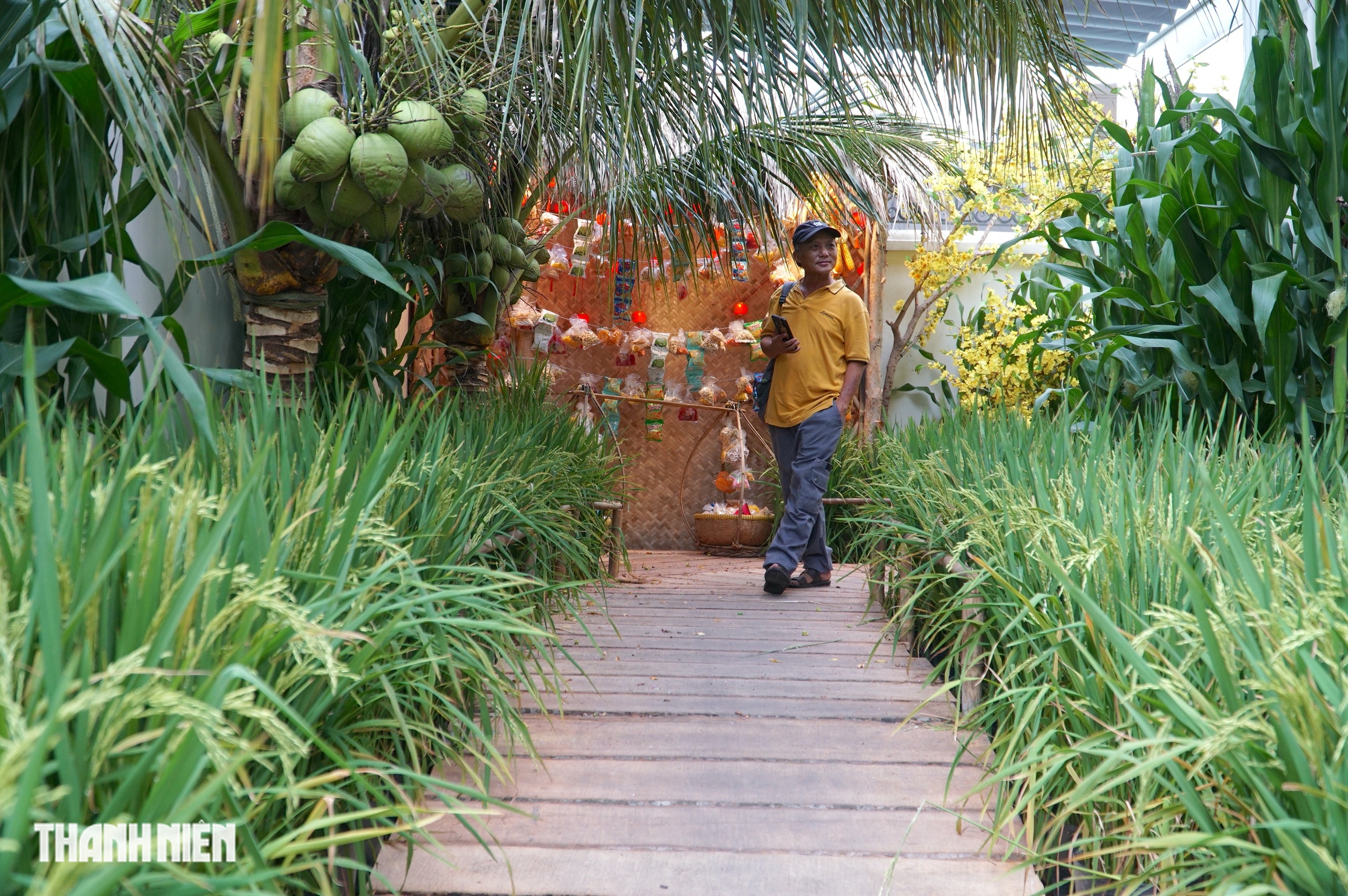 Cảnh qu&ecirc; y&ecirc;n b&igrave;nh trong s&acirc;n nh&agrave; thờ ở TP.HCM, chuẩn bị đ&oacute;n Tết B&iacute;nh Ngọ - Ảnh 5.