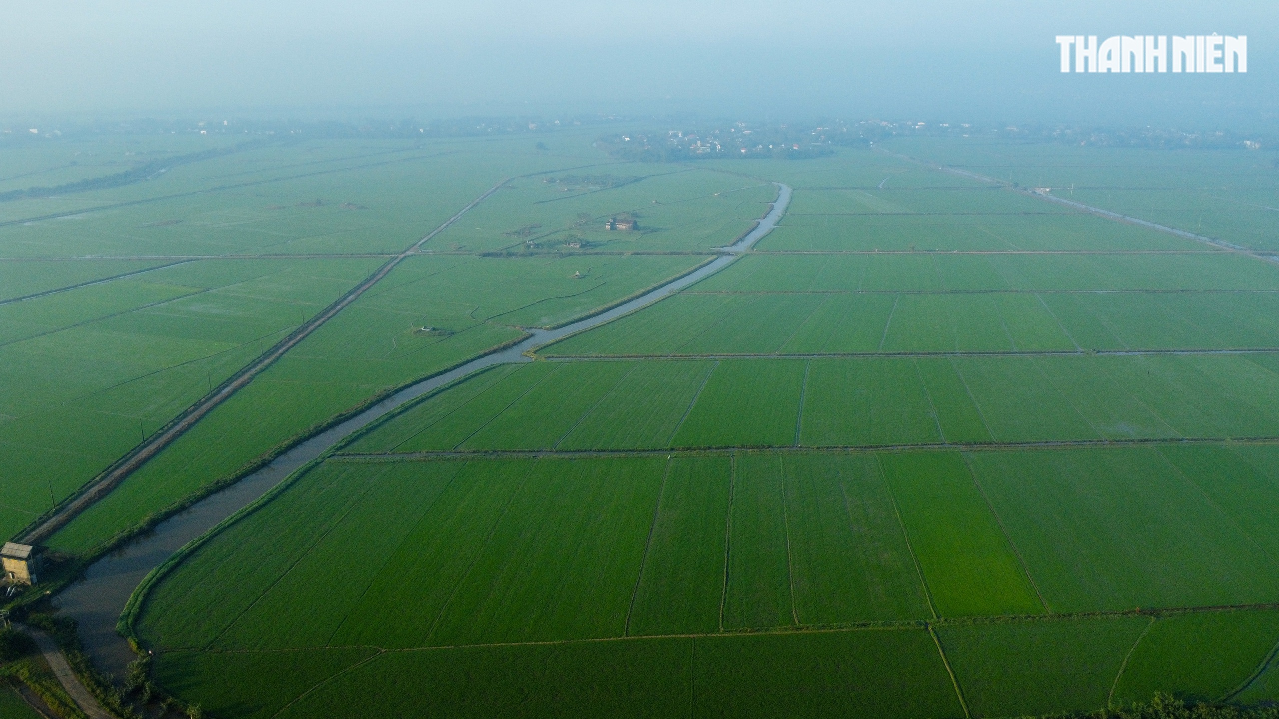 Sắc xanh tr&ecirc;n c&aacute;nh đồng l&uacute;a Huế, hồi sinh sau 4 trận lũ lịch sử- Ảnh 9.