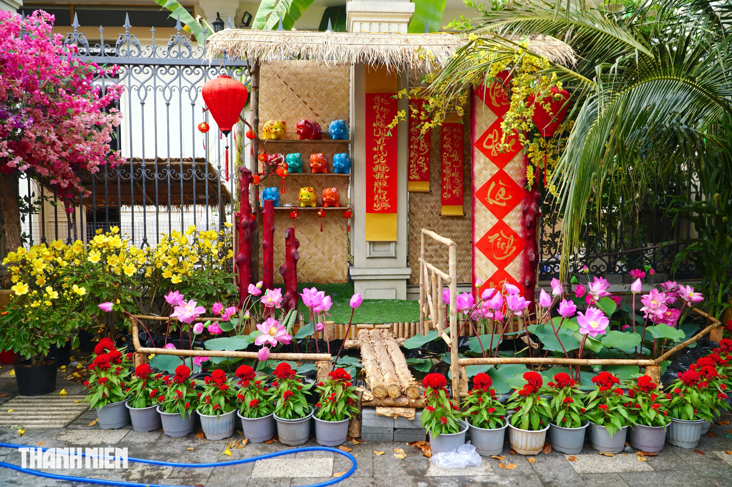 Cảnh qu&ecirc; y&ecirc;n b&igrave;nh trong s&acirc;n nh&agrave; thờ ở TP.HCM, chuẩn bị đ&oacute;n Tết B&iacute;nh Ngọ - Ảnh 4.