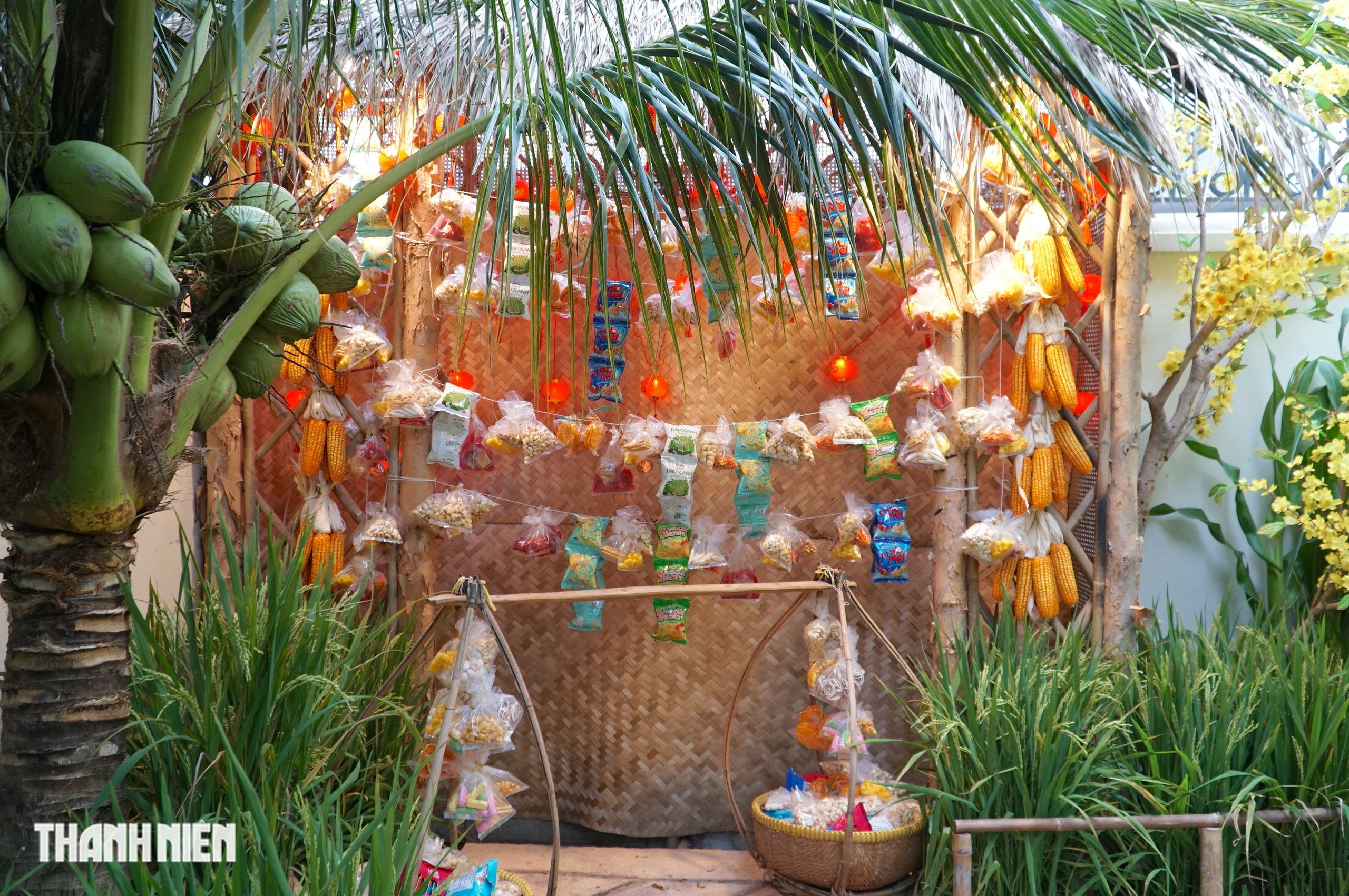 Cảnh qu&ecirc; y&ecirc;n b&igrave;nh trong s&acirc;n nh&agrave; thờ ở TP.HCM, chuẩn bị đ&oacute;n Tết B&iacute;nh Ngọ - Ảnh 6.