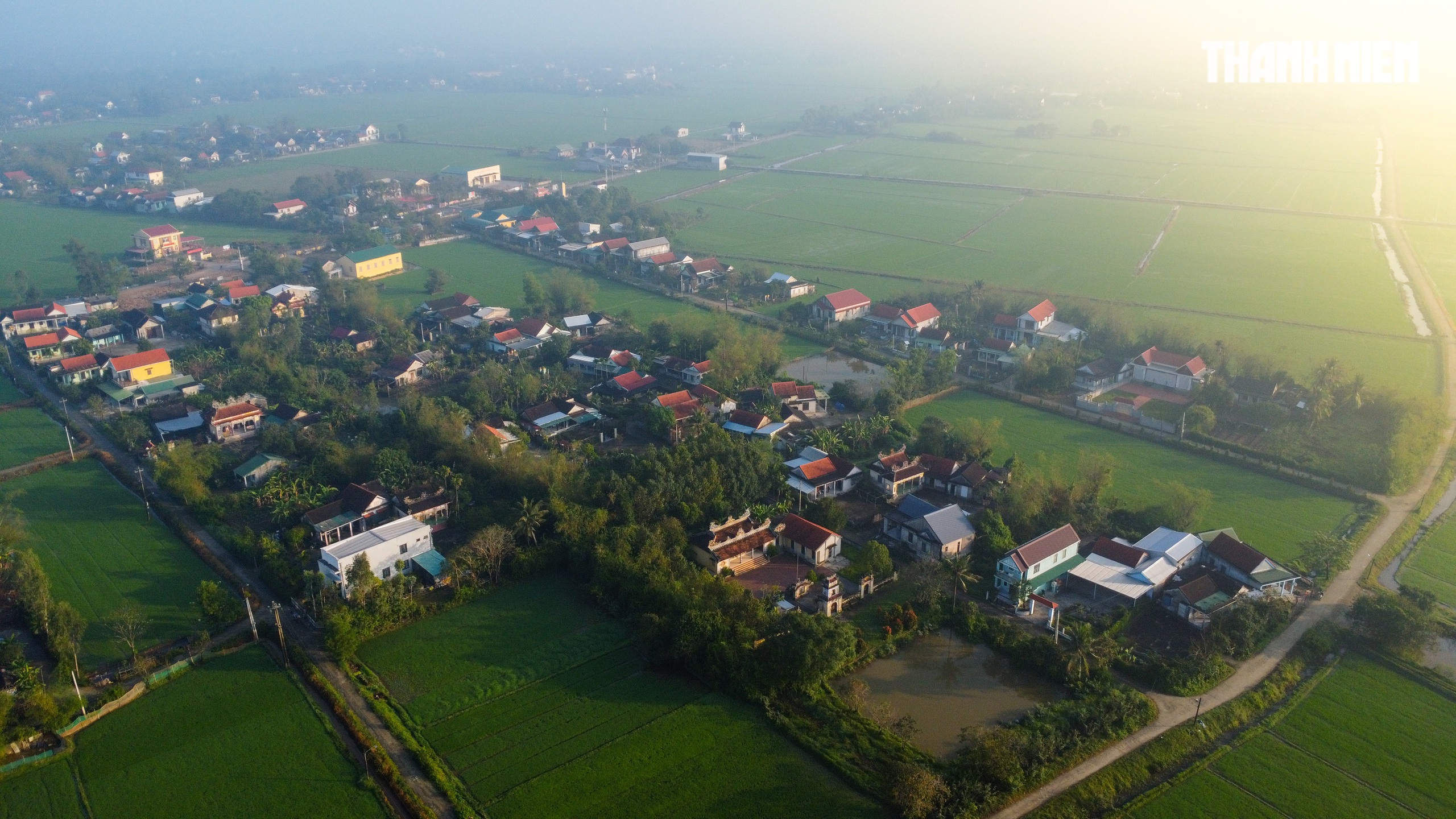 Sắc xanh tr&ecirc;n c&aacute;nh đồng l&uacute;a Huế, hồi sinh sau 4 trận lũ lịch sử- Ảnh 6.