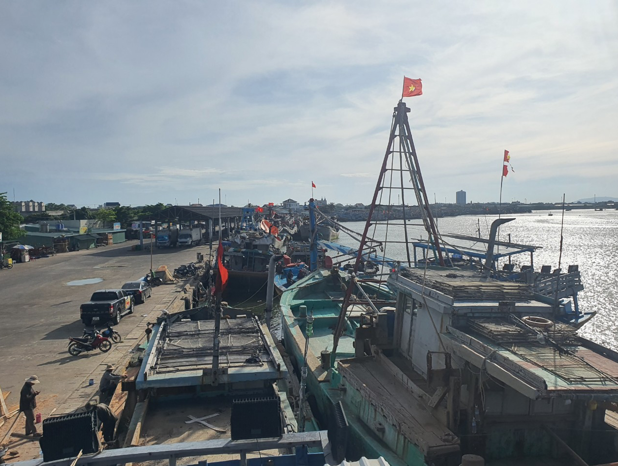 TP.HCM tuyệt đối không để tàu cá không đủ điều kiện hoạt động
- Ảnh 1.