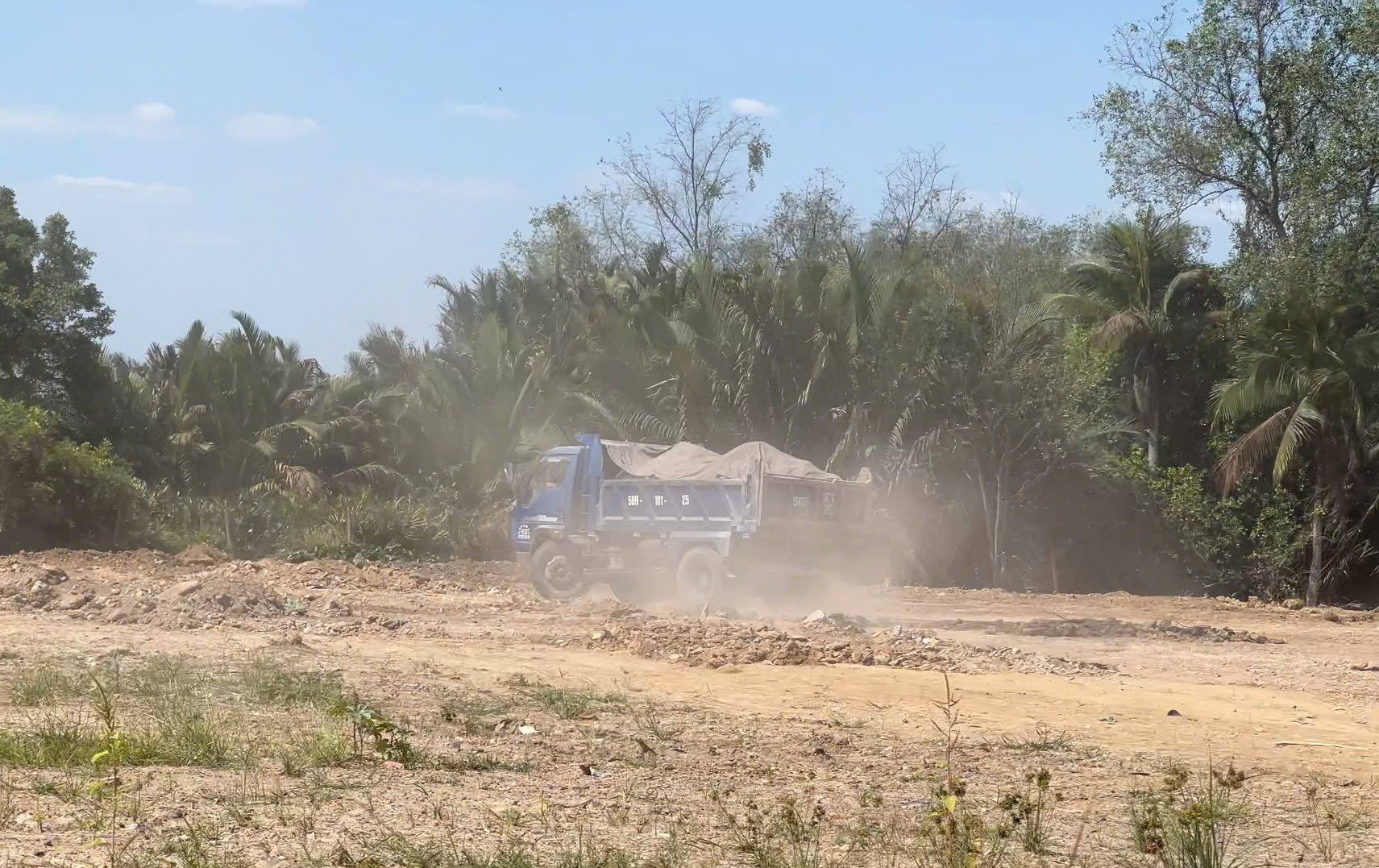 TP.HCM: San lấp trái phép gần 2.000 m² giữa rừng cây phường Long Phước- Ảnh 7.