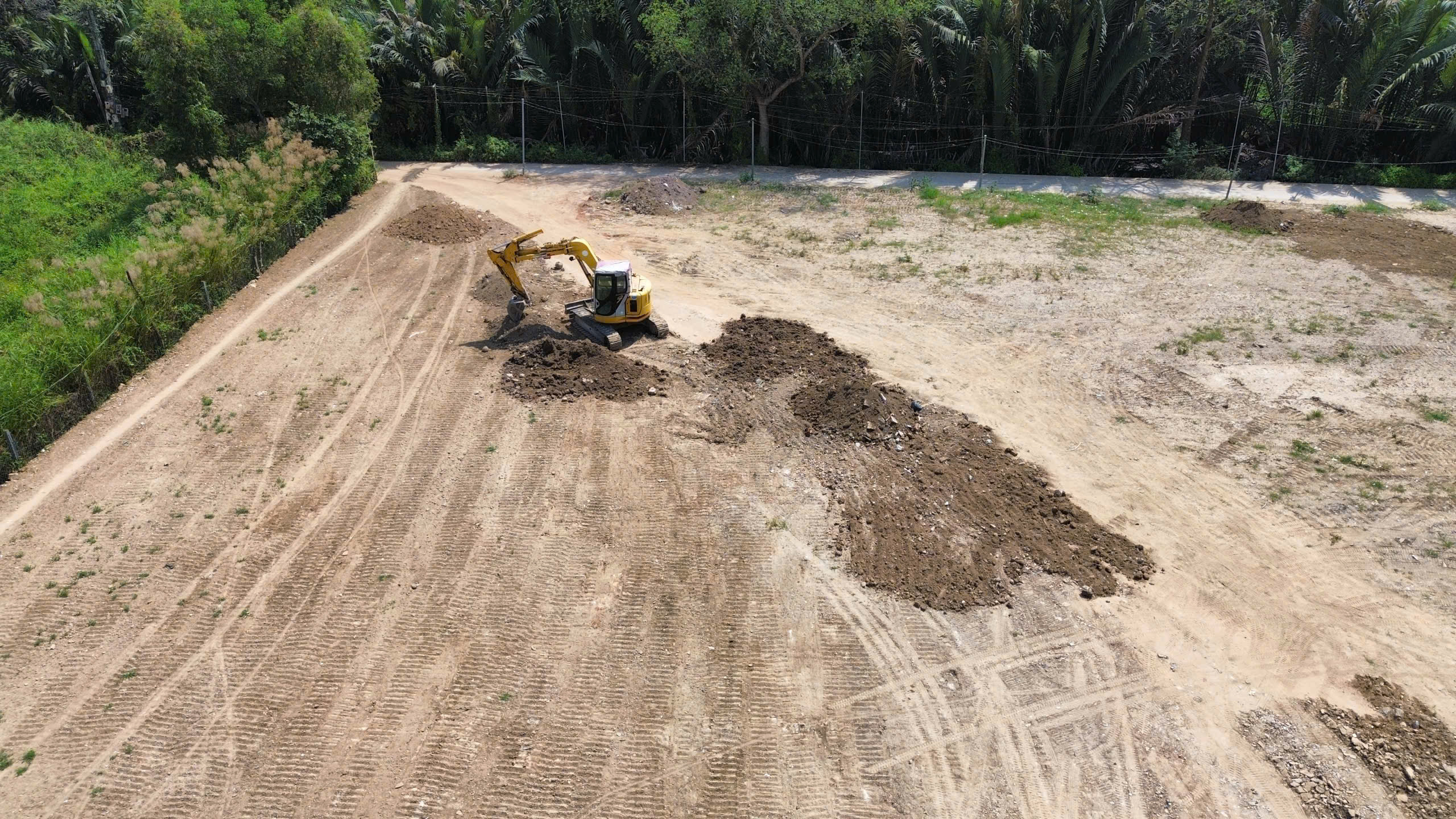 TP.HCM: San lấp trái phép gần 2.000 m² giữa rừng cây phường Long Phước- Ảnh 1.