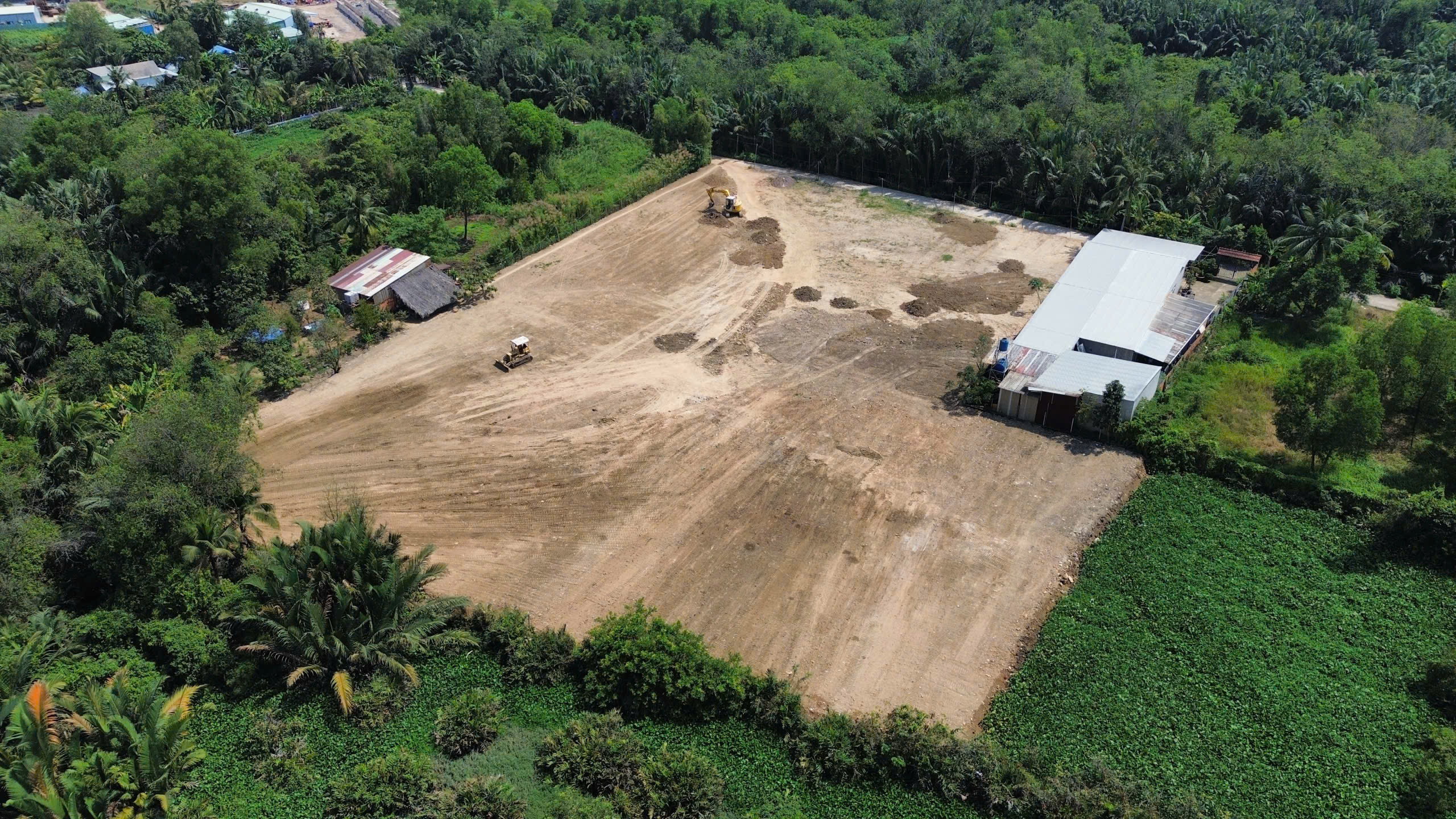 TP.HCM: San lấp trái phép gần 2.000 m² giữa rừng cây phường Long Phước- Ảnh 2.