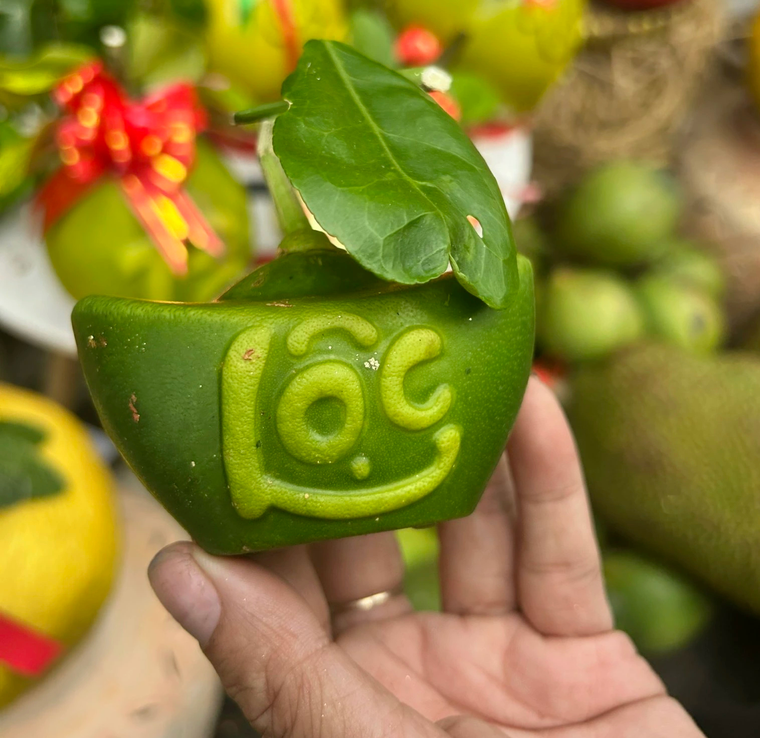 Bưởi mini thỏi v&agrave;ng t&agrave;i lộc 'b&aacute;n bao nhi&ecirc;u cũng hết' dịp tết - Ảnh 2.