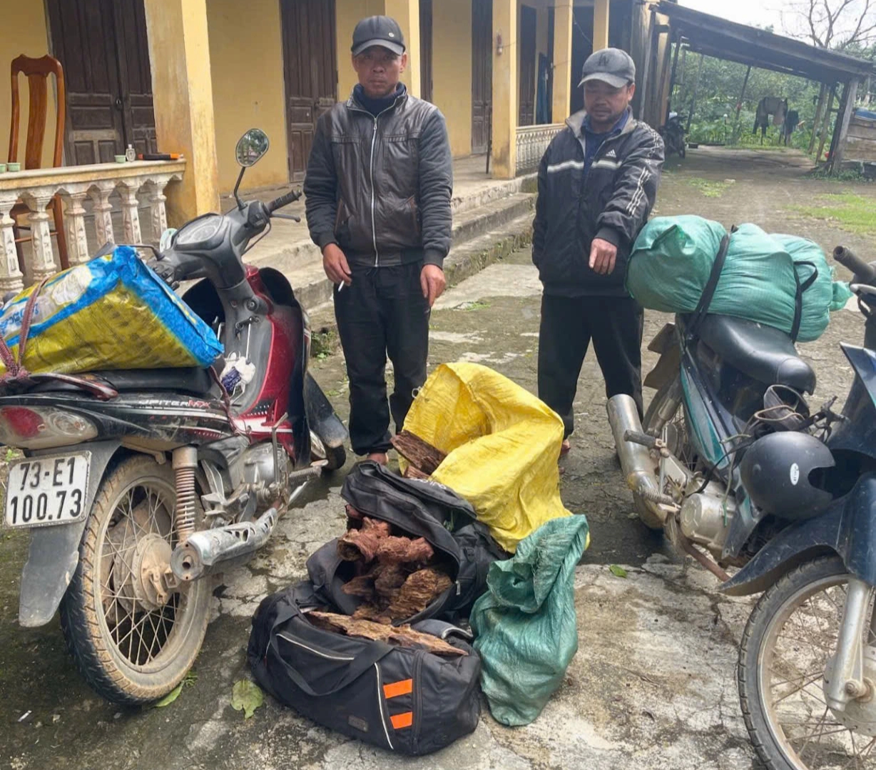 Quảng Trị: Bị khởi tố vì vận chuyển 43 kg thịt sơn dương- Ảnh 2.