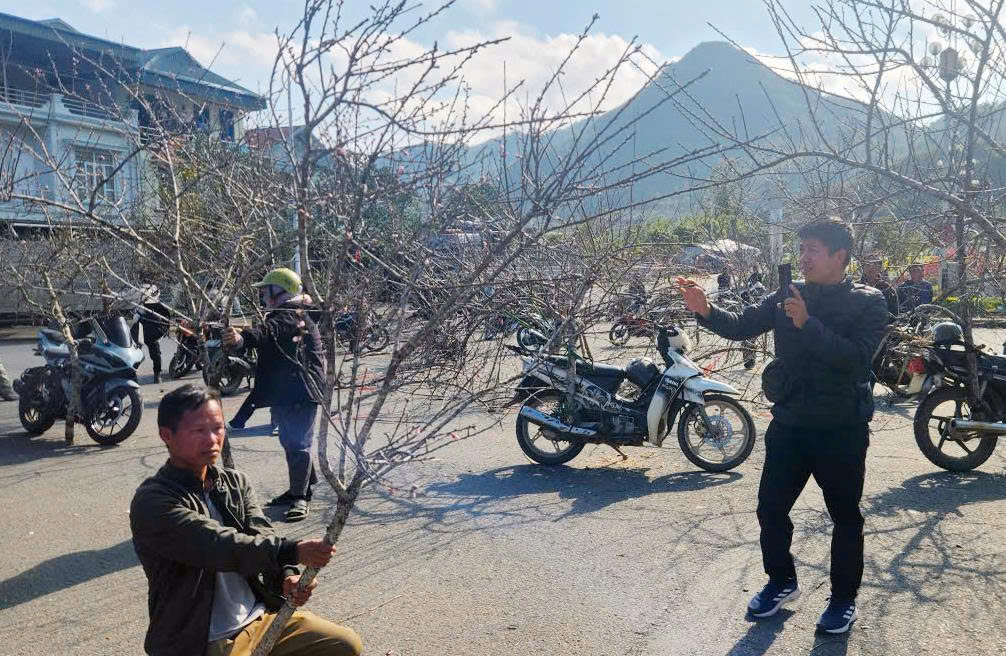 Đ&agrave;o Lai Ch&acirc;u l&ecirc;n s&oacute;ng livestream, gi&aacute; tiền triệu 'nổ' đơn ầm ầm- Ảnh 1.