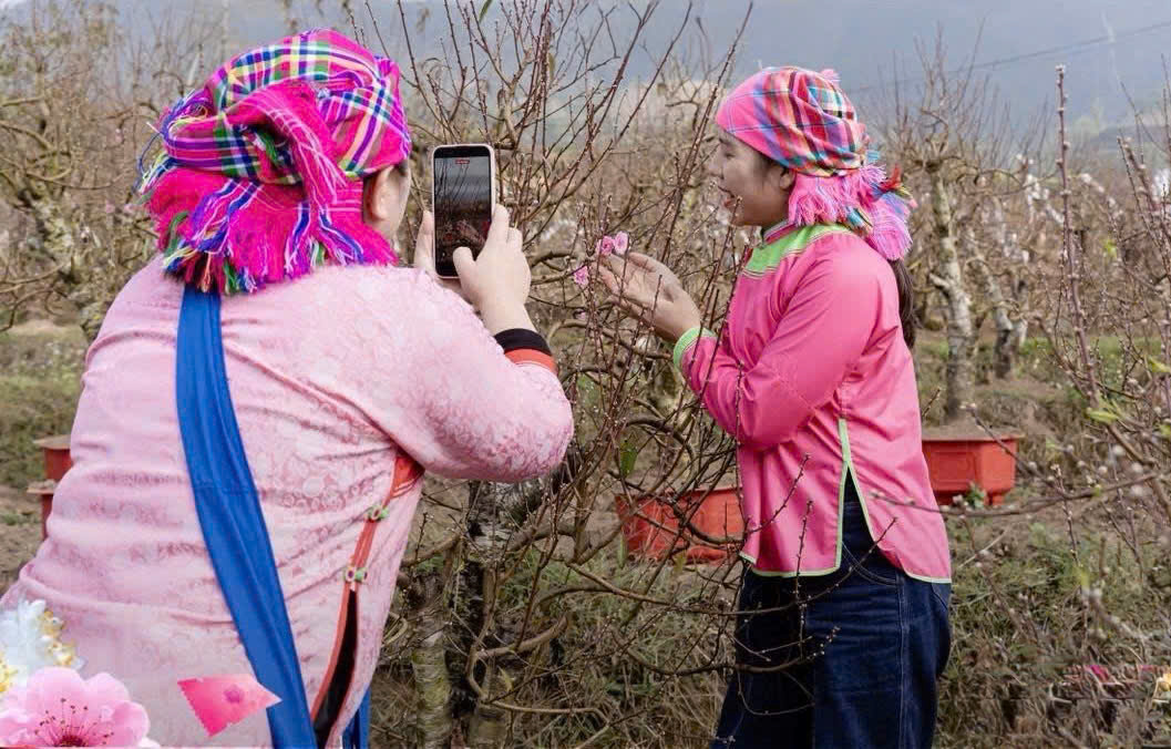 Đ&agrave;o Lai Ch&acirc;u l&ecirc;n s&oacute;ng livestream, gi&aacute; tiền triệu 'nổ' đơn ầm ầm- Ảnh 2.