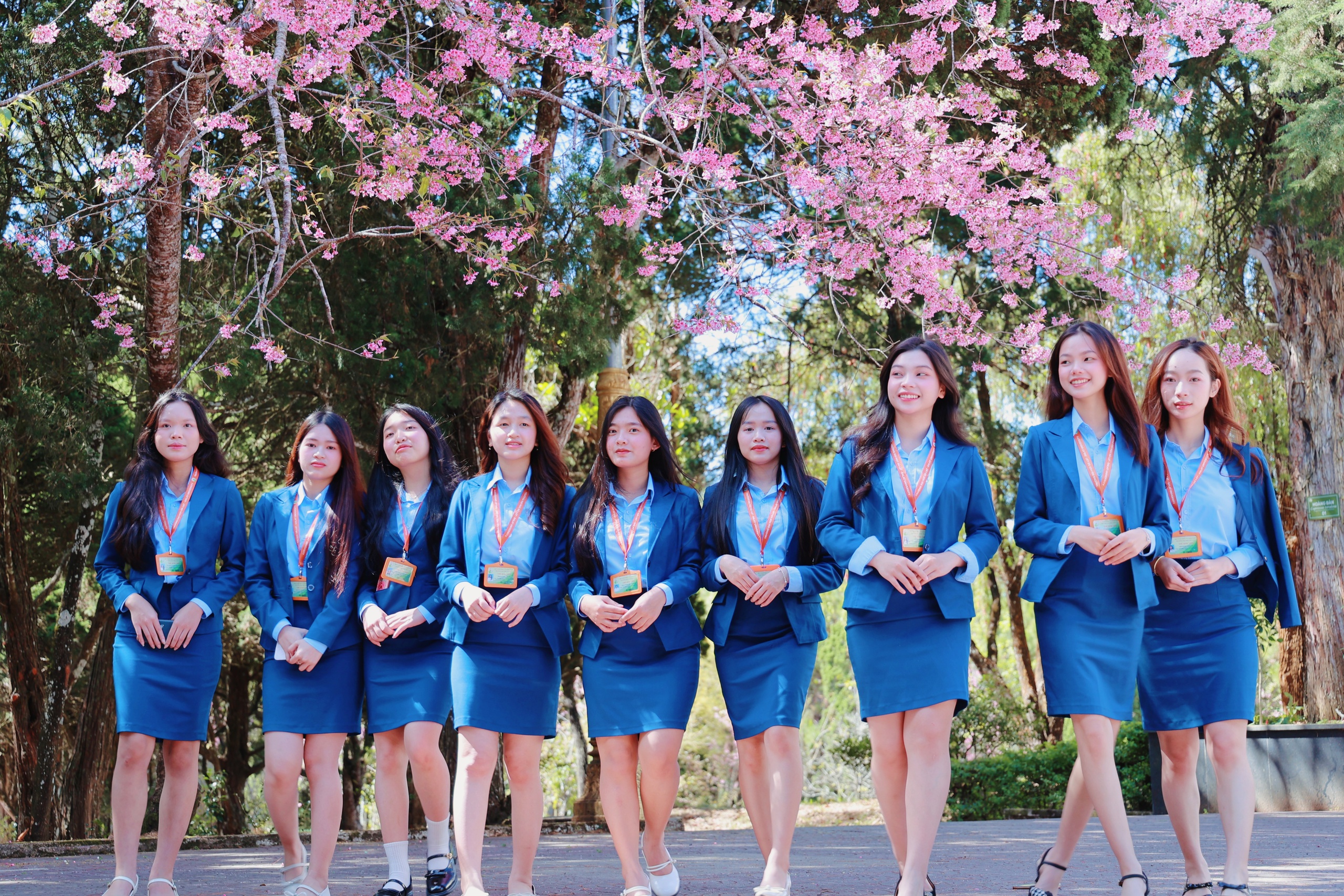 Trường ĐH Đ&agrave; Lạt rực sắc mai anh đ&agrave;o, sinh vi&ecirc;n, du kh&aacute;ch th&iacute;ch th&uacute; chụp ảnh- Ảnh 14.