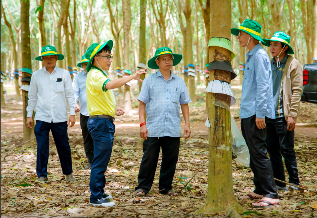 Thị trường Lào, Campuchia ngày càng quan trọng- Ảnh 5.