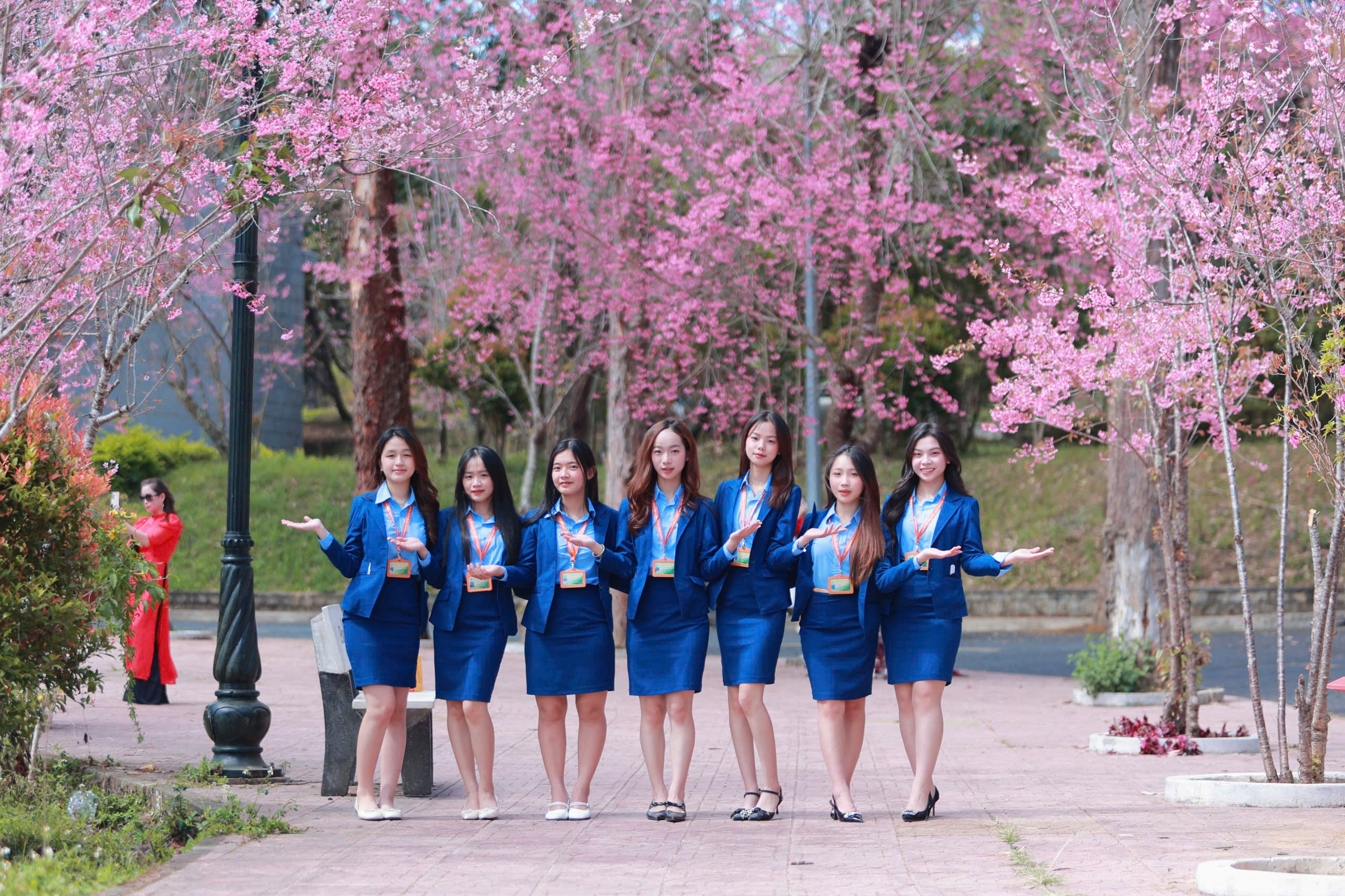 Trường ĐH Đ&agrave; Lạt rực sắc mai anh đ&agrave;o, sinh vi&ecirc;n, du kh&aacute;ch th&iacute;ch th&uacute; chụp ảnh- Ảnh 1.