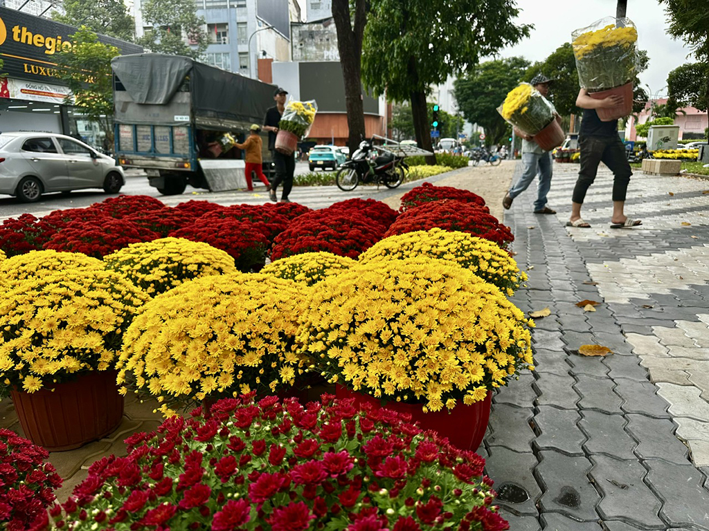 Hoa tết mọi miền khoe sắc giữa lòng TP.HCM- Ảnh 1.
