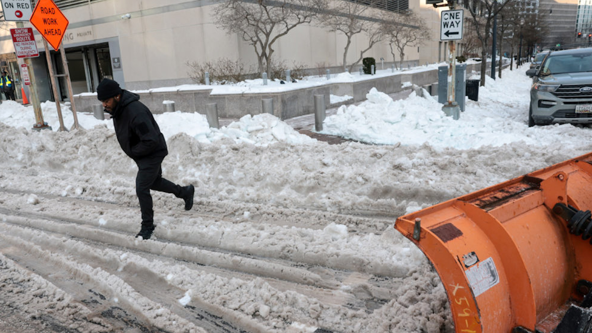 Cho&aacute;ng v&aacute;ng v&igrave; c&aacute;i lạnh, kỳ nh&ocirc;ng ở Florida rơi khỏi c&acirc;y - Ảnh 1.