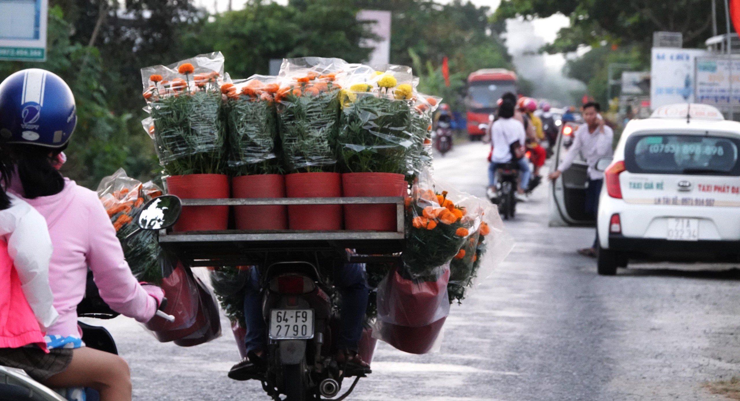 Phải có 'giấy thông hành' mới được chở hoa kiểng tết đi bán là bịa đặt- Ảnh 3.