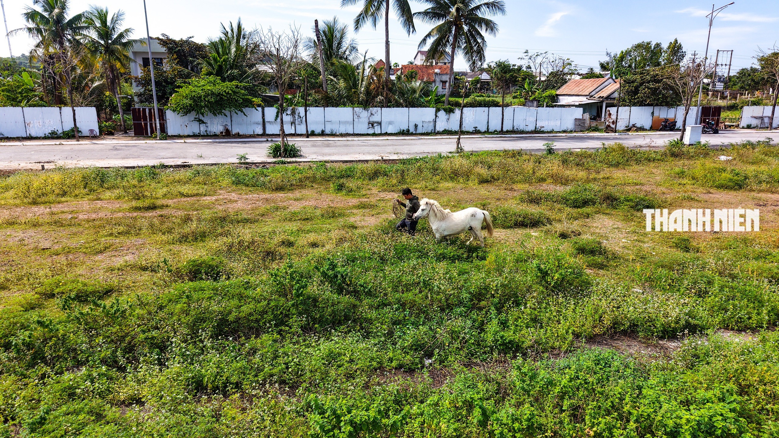 Bạch mã dưới núi Thiên Mã: Dấu ấn năm Ngọ nơi miền biển Quảng Ngãi- Ảnh 4.