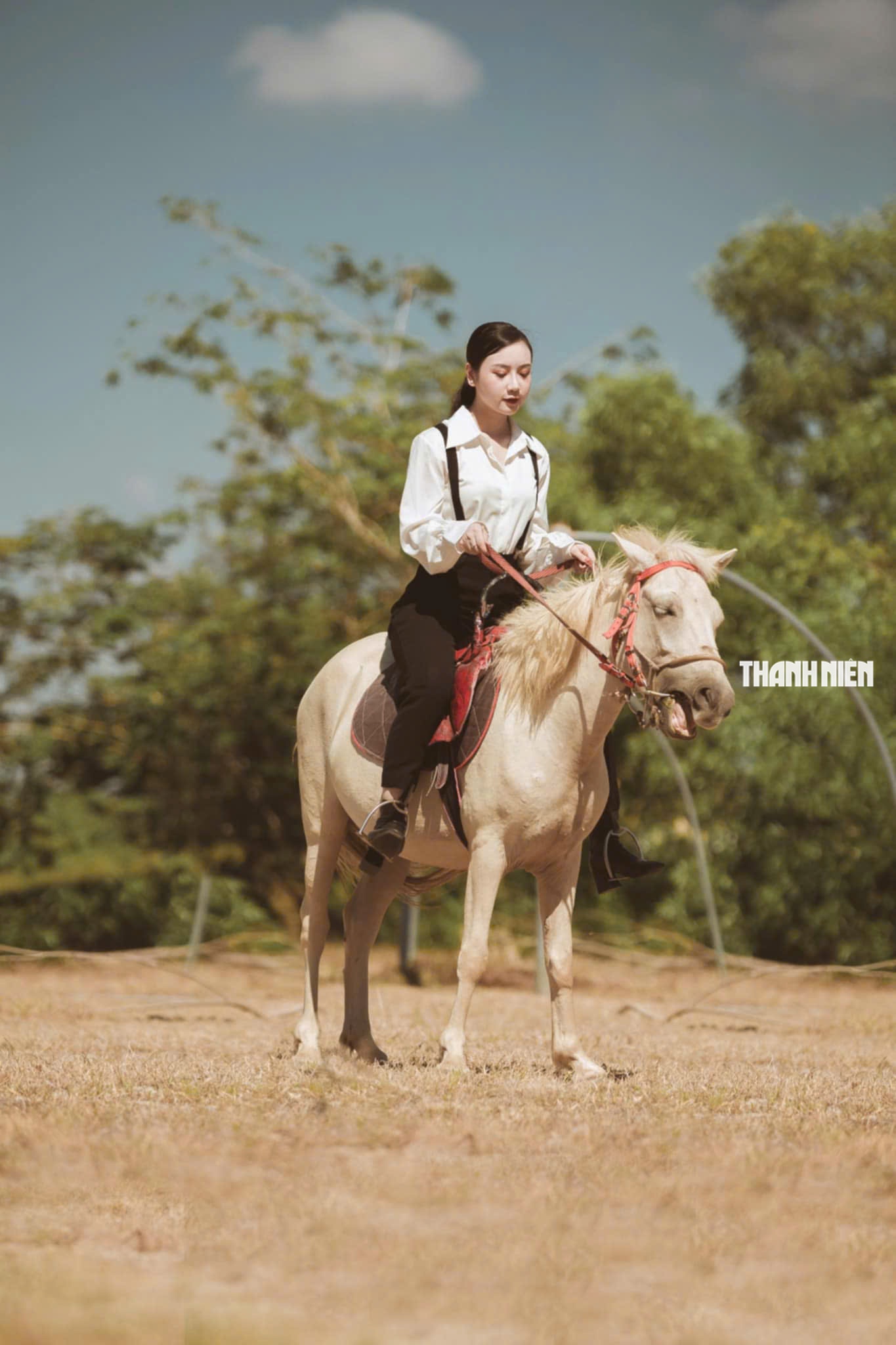 Bạch mã dưới núi Thiên Mã: Dấu ấn năm Ngọ nơi miền biển Quảng Ngãi- Ảnh 7.