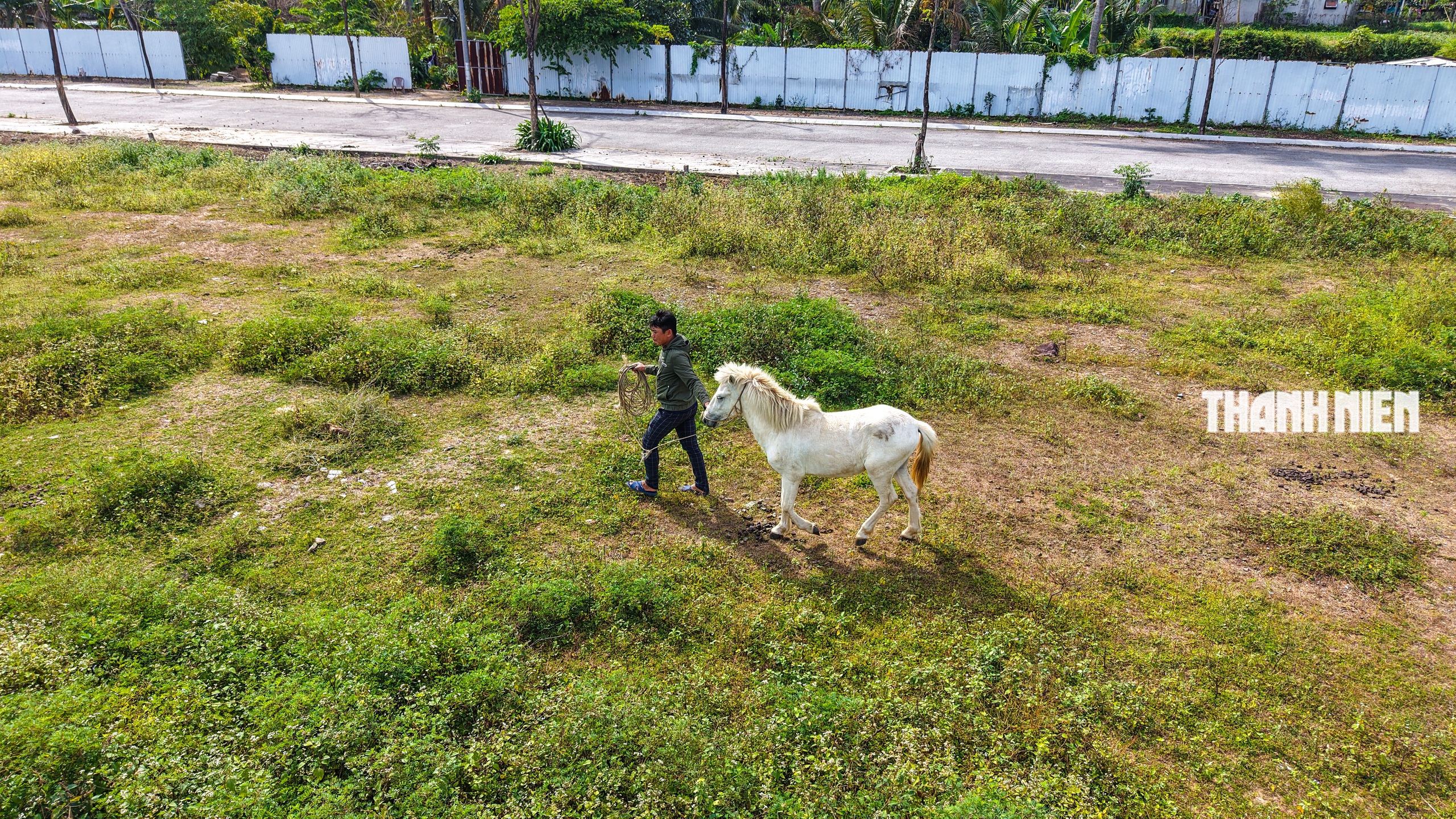 Bạch mã dưới núi Thiên Mã: Dấu ấn năm Ngọ nơi miền biển Quảng Ngãi- Ảnh 6.
