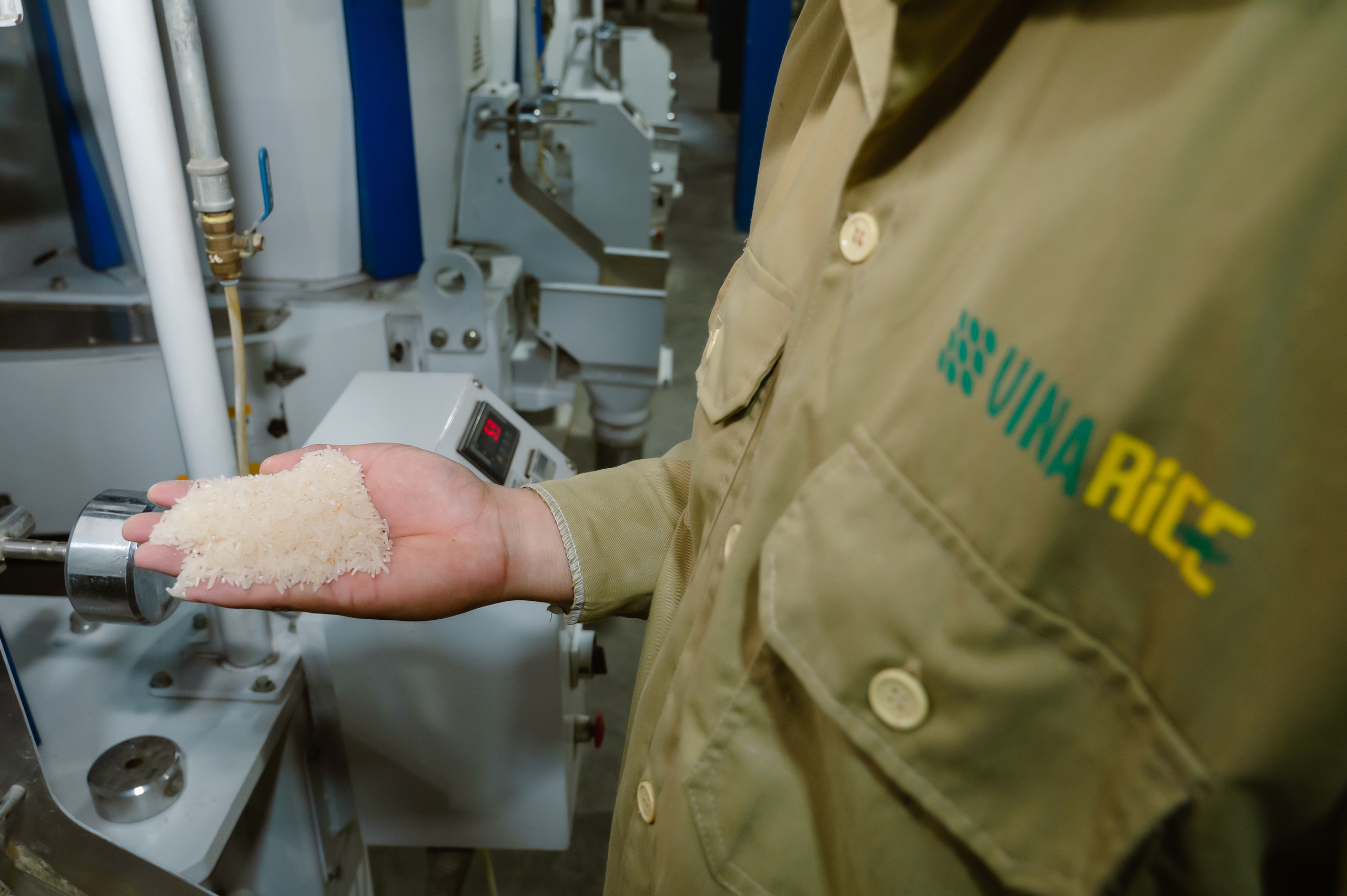 Gạo Đài Thơm 8 được đề xuất làm chuẩn tham chiếu thuế nhập khẩu tại Philippines- Ảnh 2.