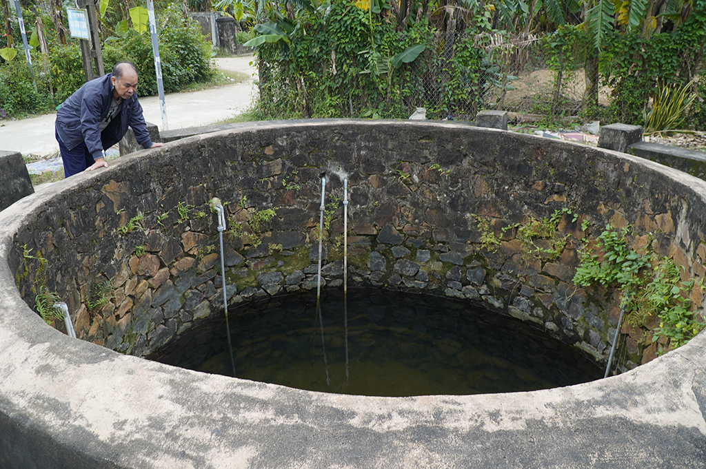  Năm ngọ về Cồn Ngựa nghe kể chuyện đổi thay - Ảnh 4.