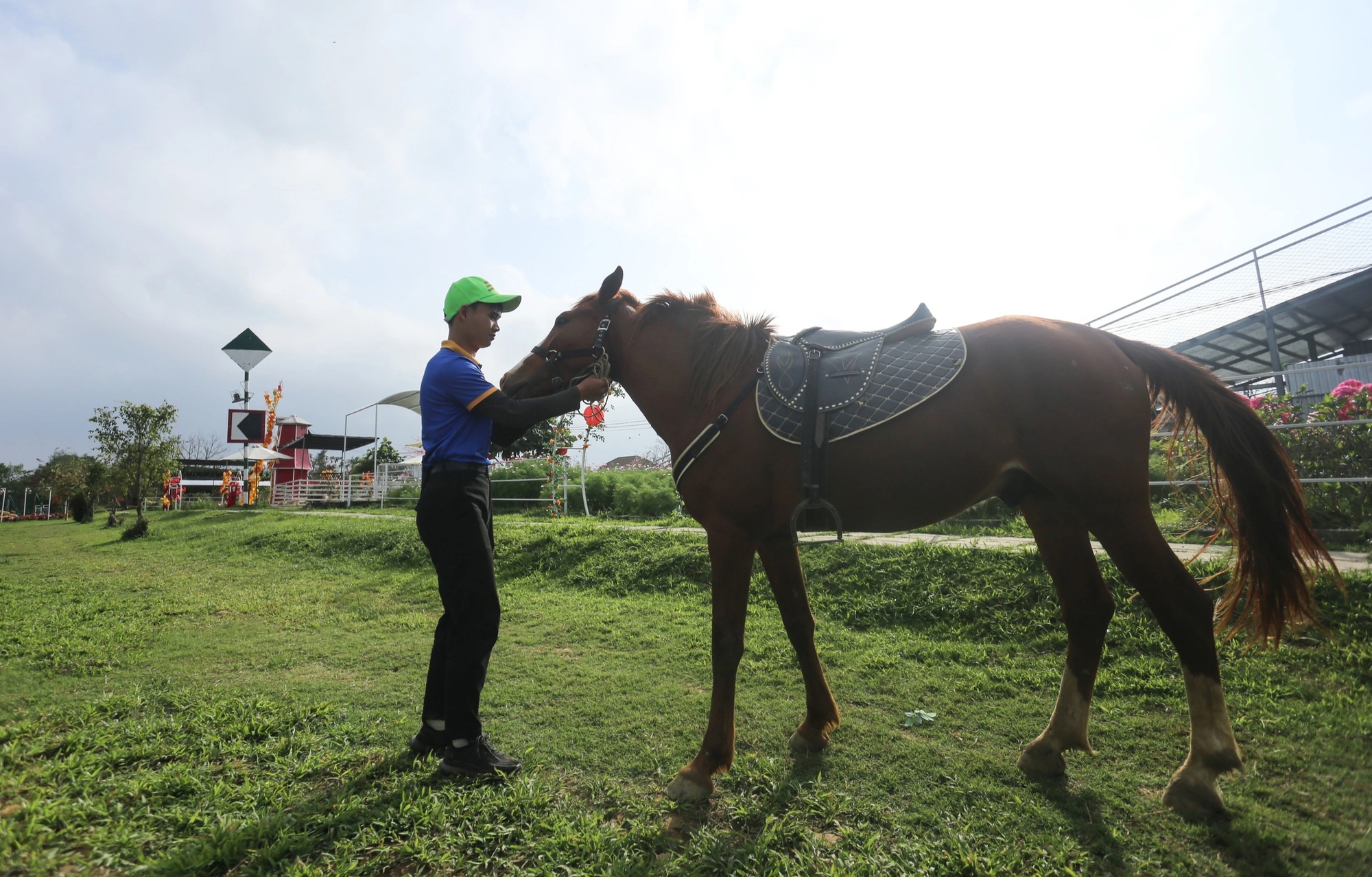 Chuyện 3 ch&uacute; ngựa 'mẫu ảnh': Ăn uống 'sang chảnh', lu&ocirc;n c&oacute; 4 cận vệ cạnh b&ecirc;n - Ảnh 3.