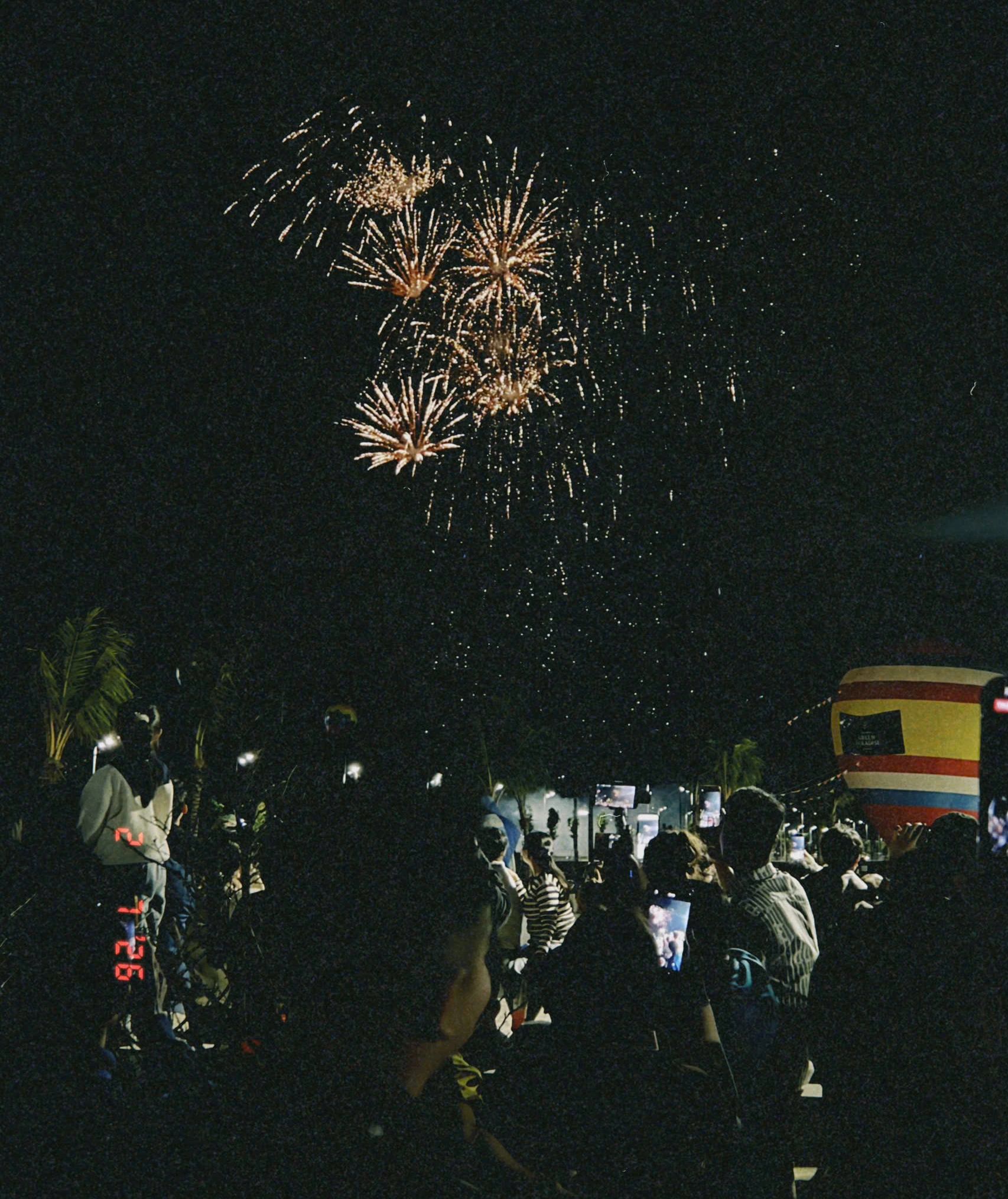 Hơn 1 vạn người đổ về Cần Giờ xem ph&aacute;o hoa xu&acirc;n sớm nhất nước - Ảnh 5.