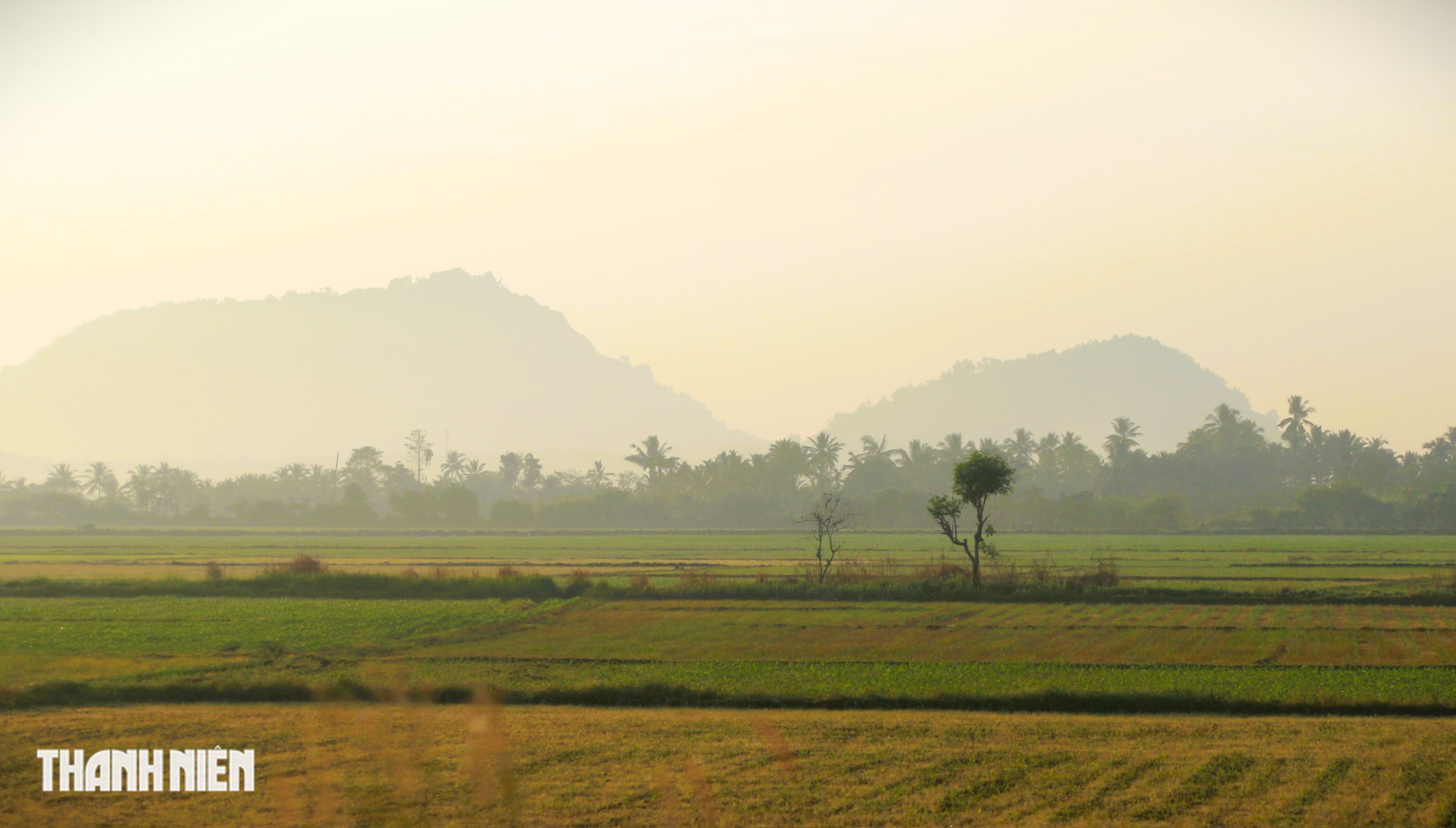 Lữ kh&aacute;ch b&acirc;ng khu&acirc;ng tr&ecirc;n cung đường kh&aacute;c lạ đi Đ&agrave; Lạt- Ảnh 4.