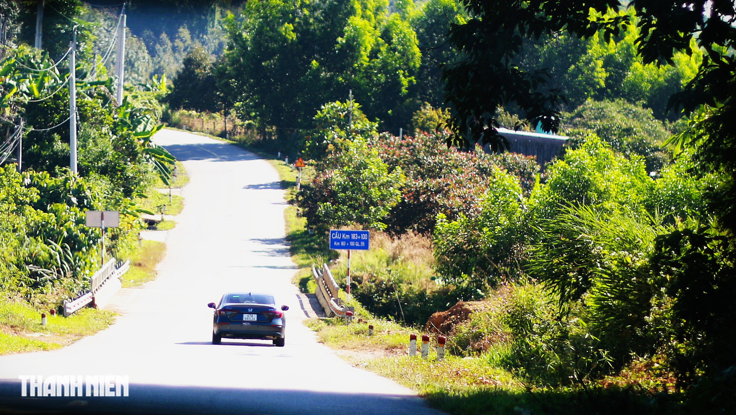 Lữ kh&aacute;ch b&acirc;ng khu&acirc;ng tr&ecirc;n cung đường kh&aacute;c lạ đi Đ&agrave; Lạt- Ảnh 3.