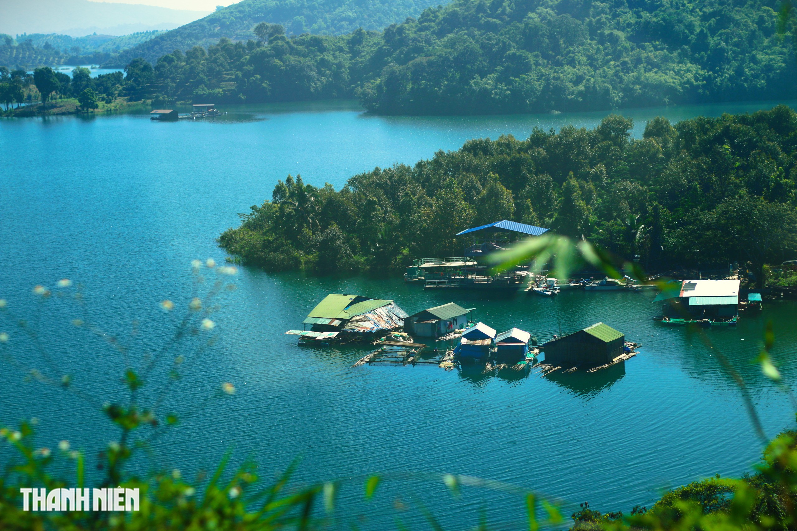 Lữ kh&aacute;ch b&acirc;ng khu&acirc;ng tr&ecirc;n cung đường kh&aacute;c lạ đi Đ&agrave; Lạt- Ảnh 5.