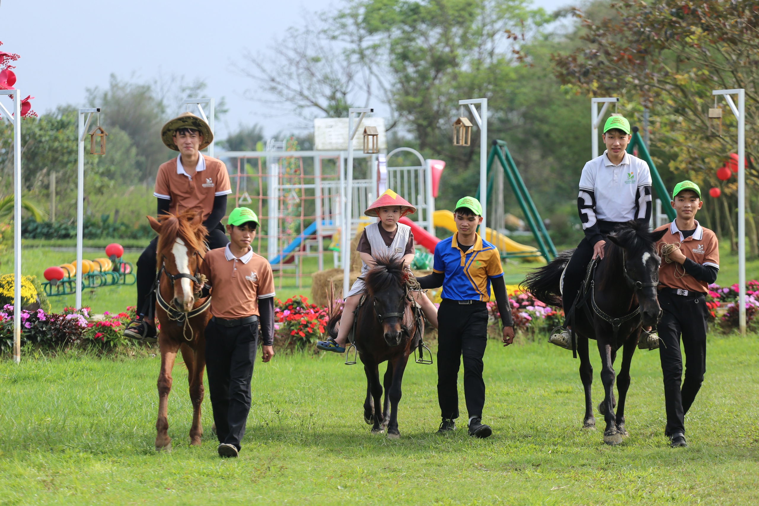 Chuyện 3 ch&uacute; ngựa 'mẫu ảnh': Ăn uống 'sang chảnh', lu&ocirc;n c&oacute; 4 cận vệ cạnh b&ecirc;n - Ảnh 1.