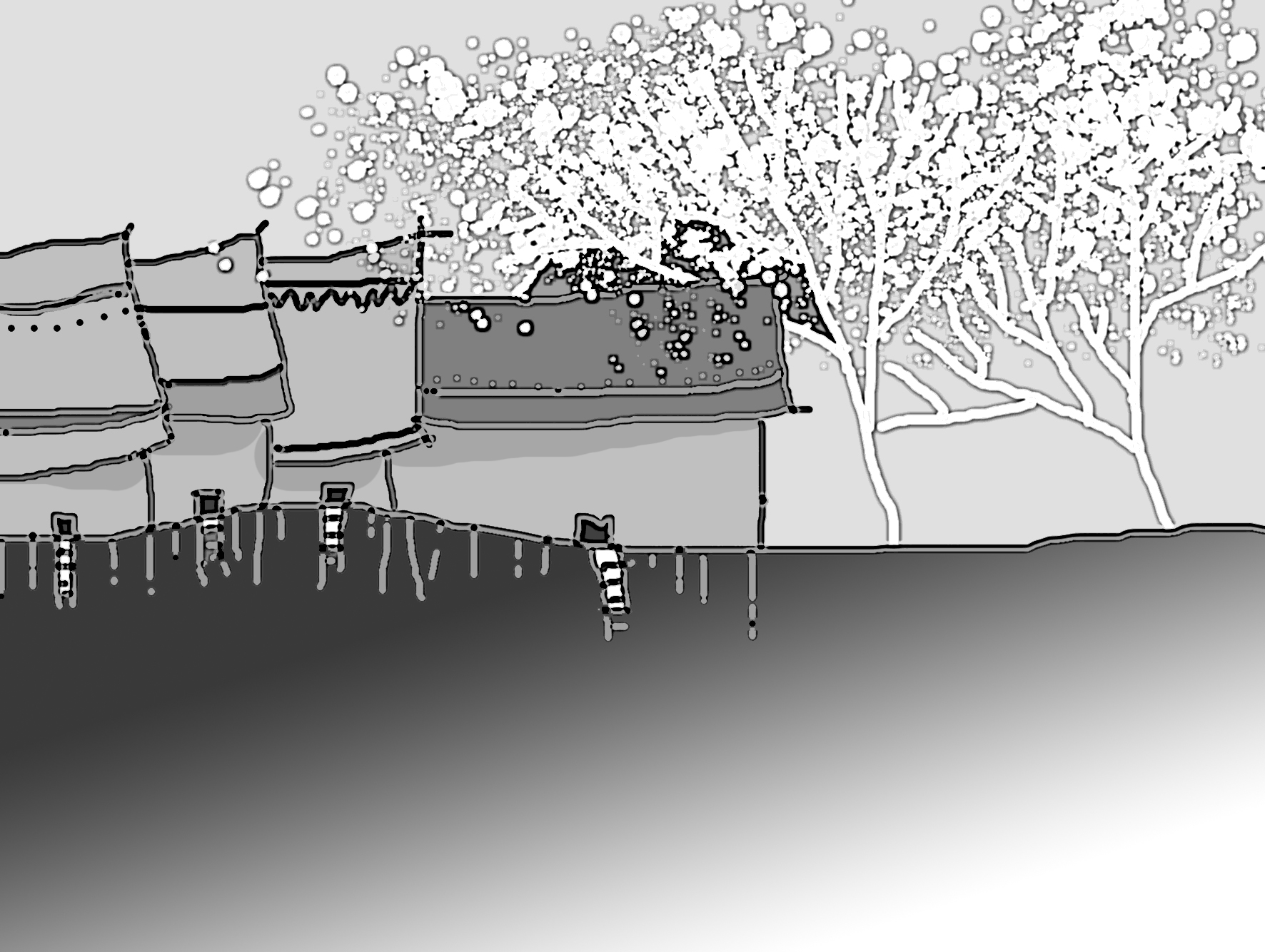 Mơ hoa - Thơ của Nam Thanh- Ảnh 1.