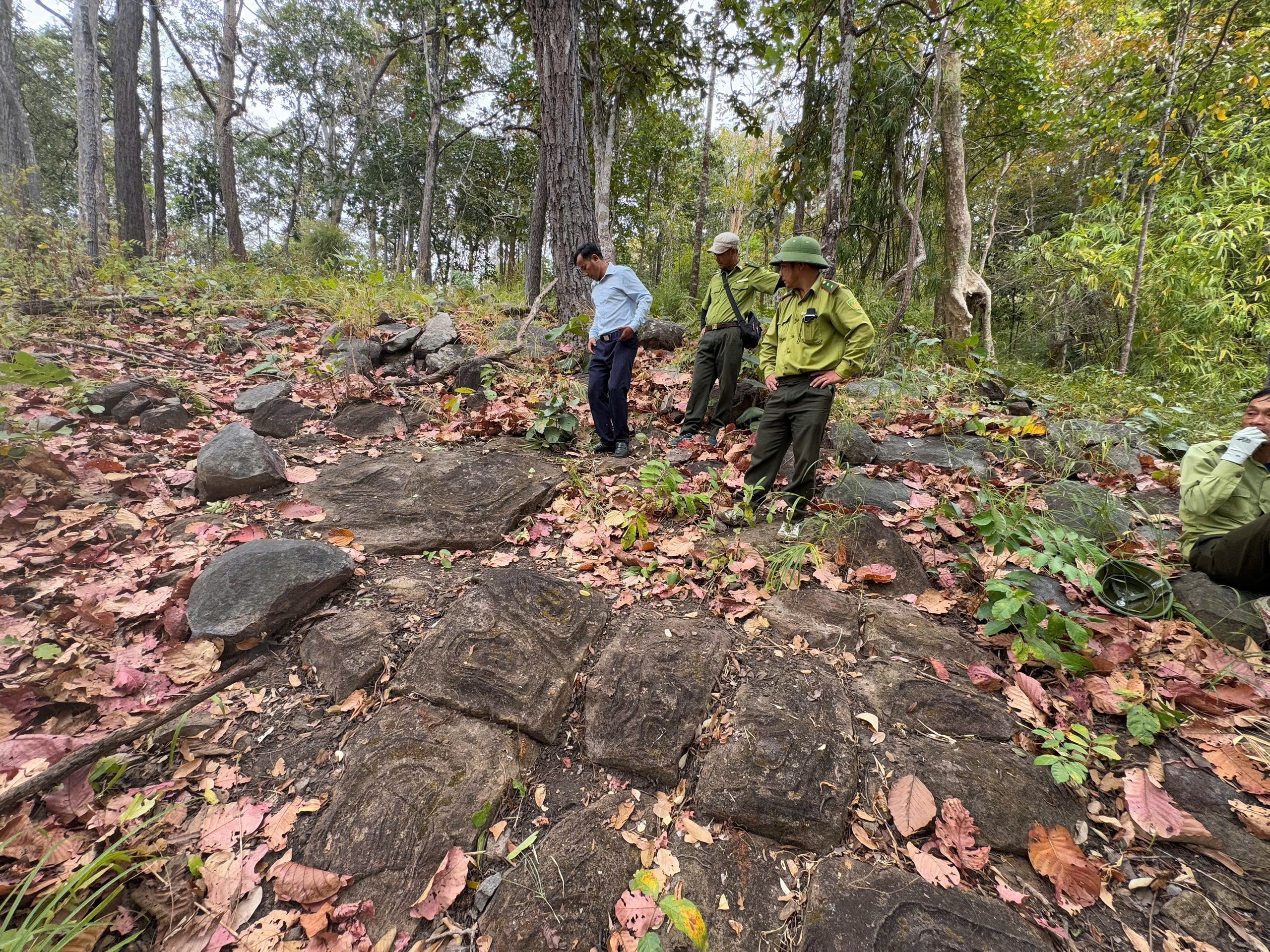 Ngỡ ngàng bãi đá có họa tiết lạ giữa Vườn quốc gia Yók Đôn- Ảnh 2.