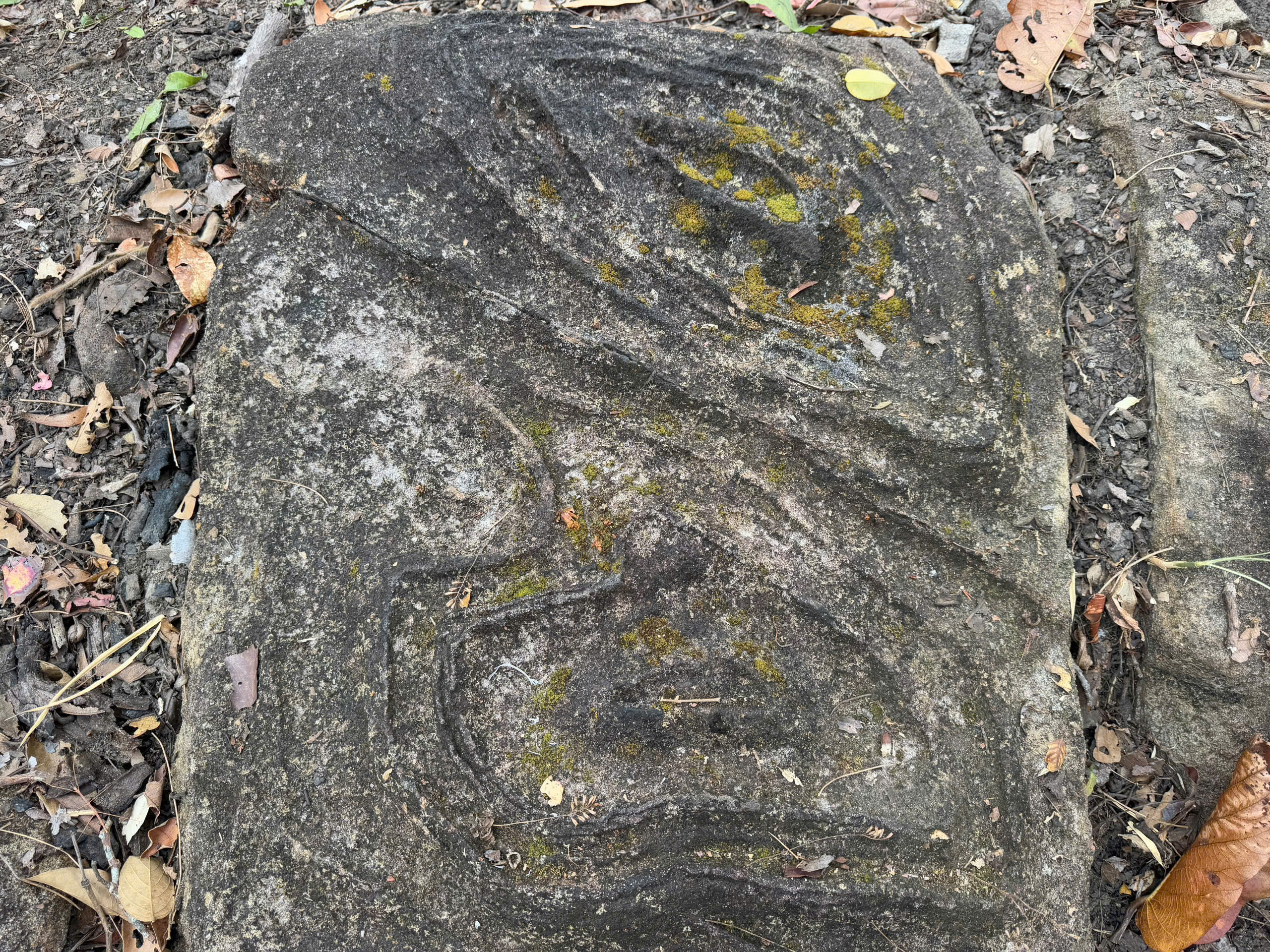 Ngỡ ngàng bãi đá có họa tiết lạ giữa Vườn quốc gia Yók Đôn- Ảnh 5.