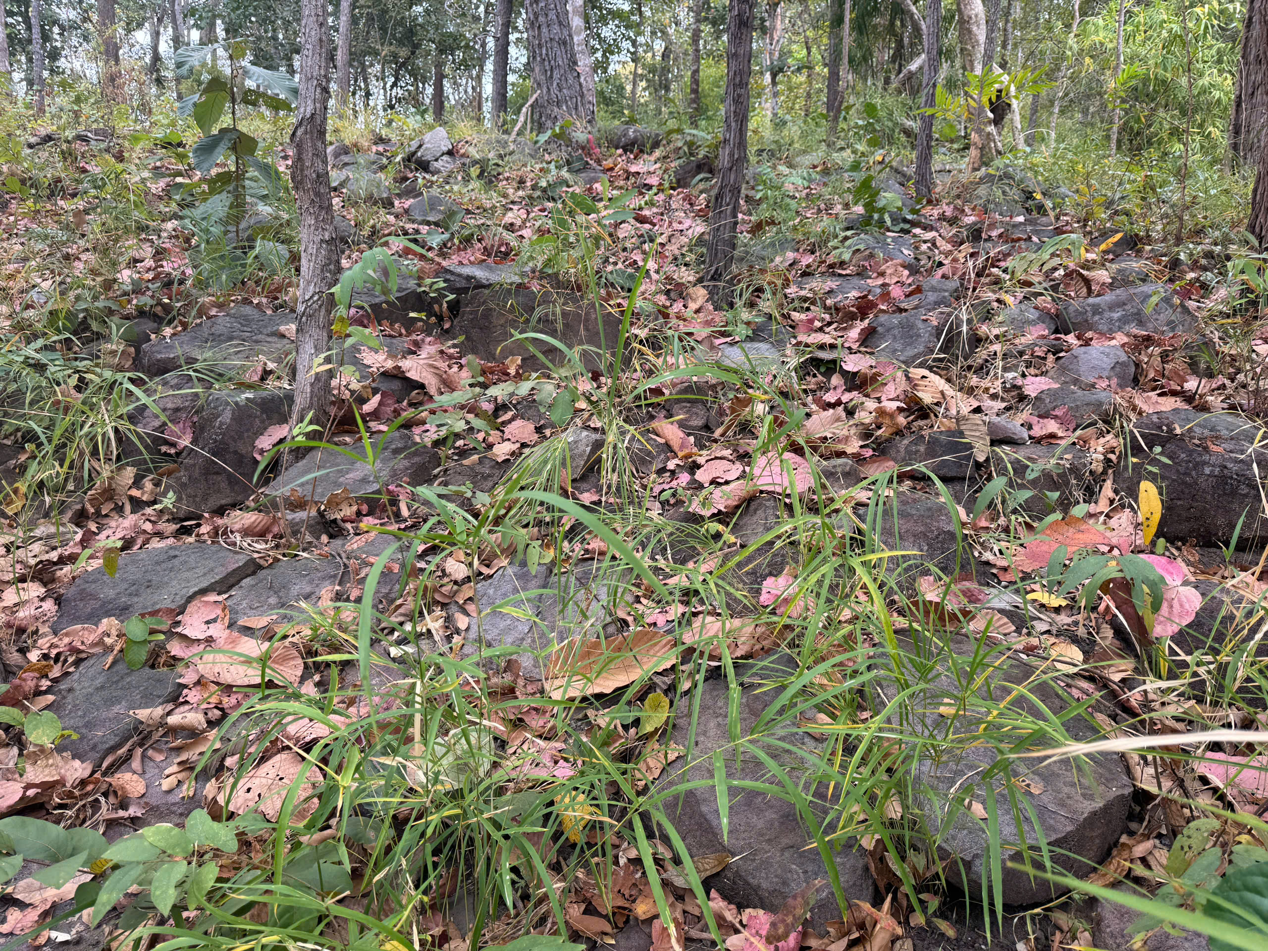 Ngỡ ngàng bãi đá có họa tiết lạ giữa Vườn quốc gia Yók Đôn- Ảnh 3.