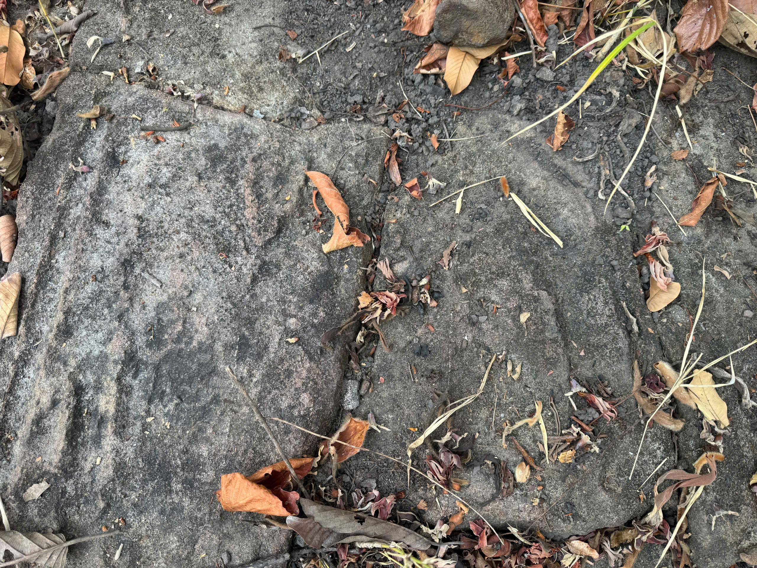 Ngỡ ngàng bãi đá có họa tiết lạ giữa Vườn quốc gia Yók Đôn- Ảnh 7.