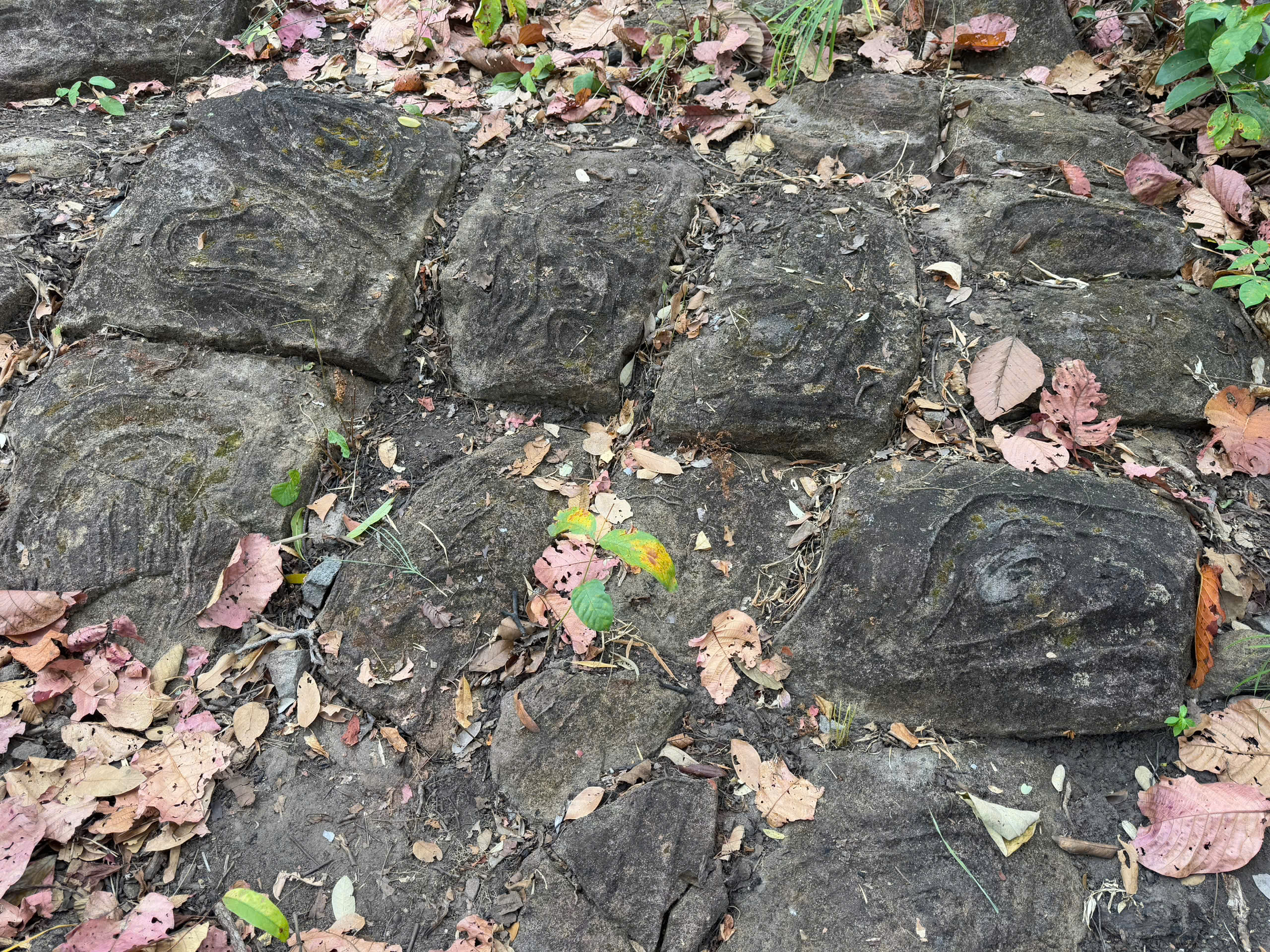 Ngỡ ngàng bãi đá có họa tiết lạ giữa Vườn quốc gia Yók Đôn- Ảnh 6.